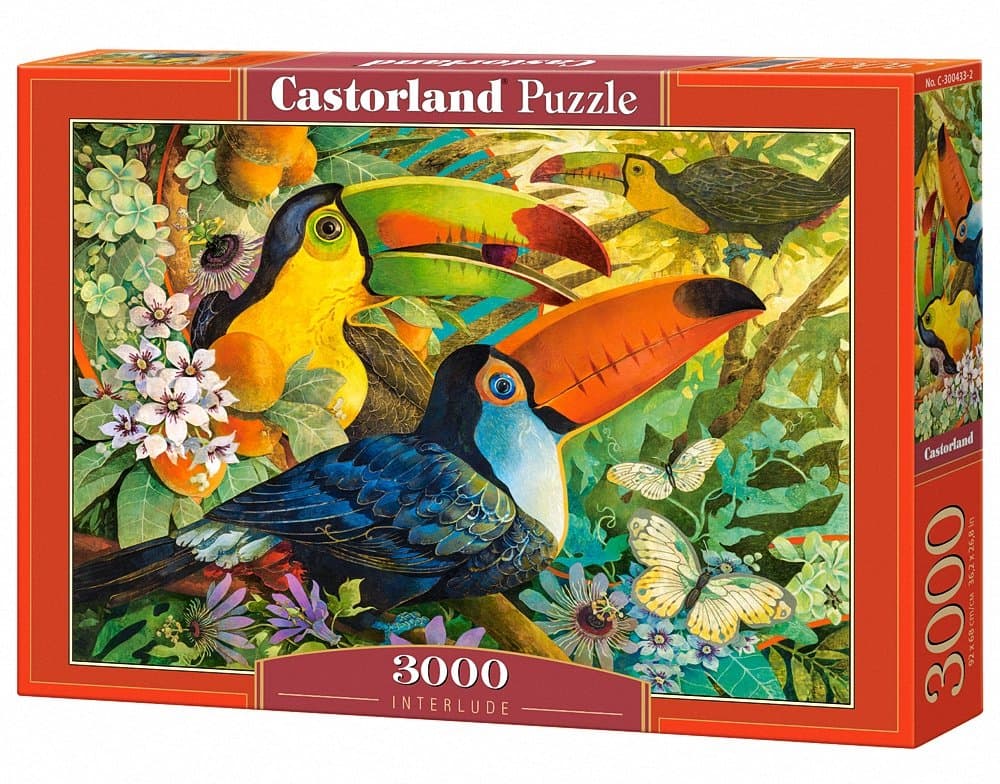 Castorland Interlude Puzzle (3000 Piece)