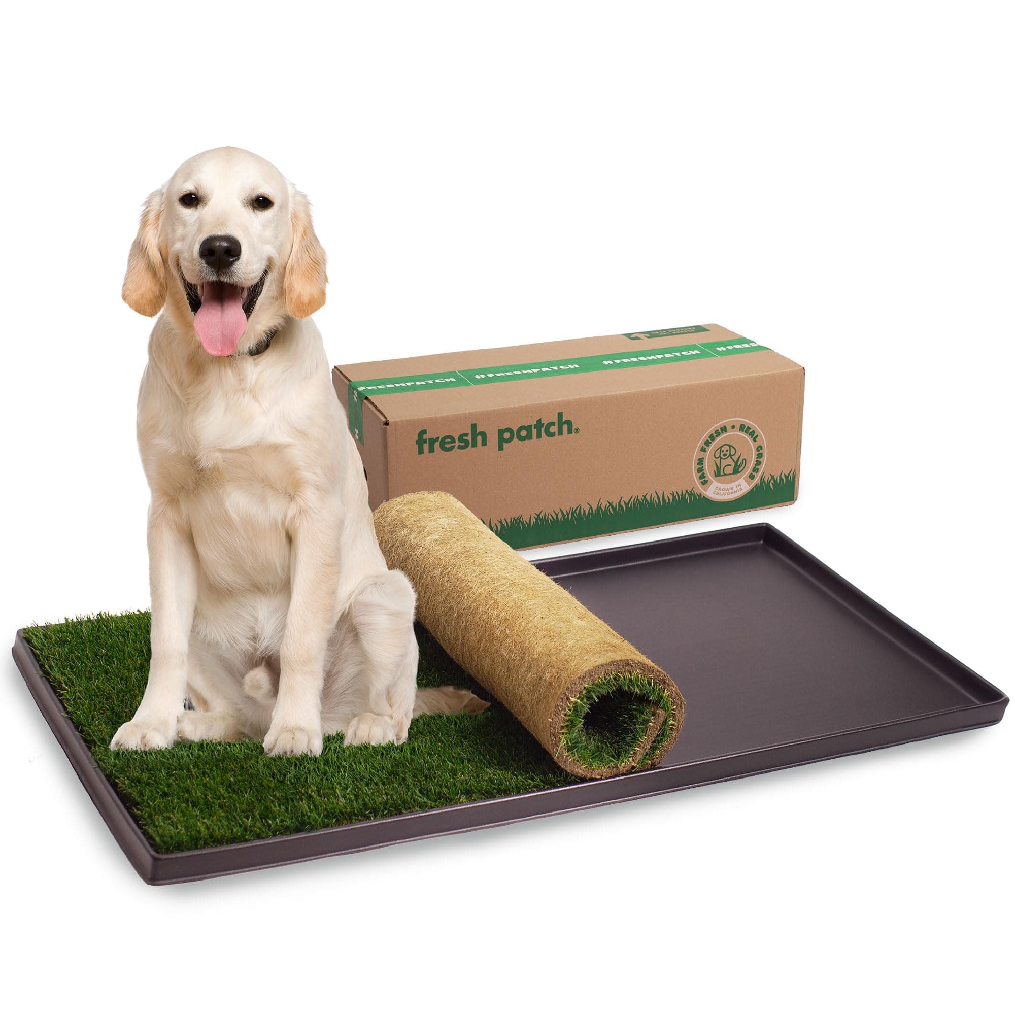 Real Grass Patch for Dogs, Cats, and Extra Large Pets 30 Pounds and Above – Disposable Pet Grass Pee Pads with Tray – Indoor and Outdoor Potty Training Mat (24 Inches x 48 Inches)