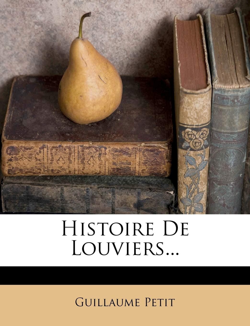 Histoire De Louviers...