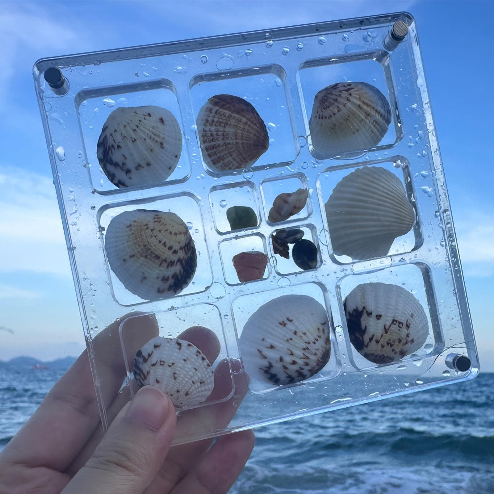 Acrylic Shadow Boxes Magnetic Seashell Display Box, Mini Seashell Collection Box with Clear Stand, Transparent Decorative Organizer for Seashell, Starfish Trinket, Small Craft, Nail and Jewelry