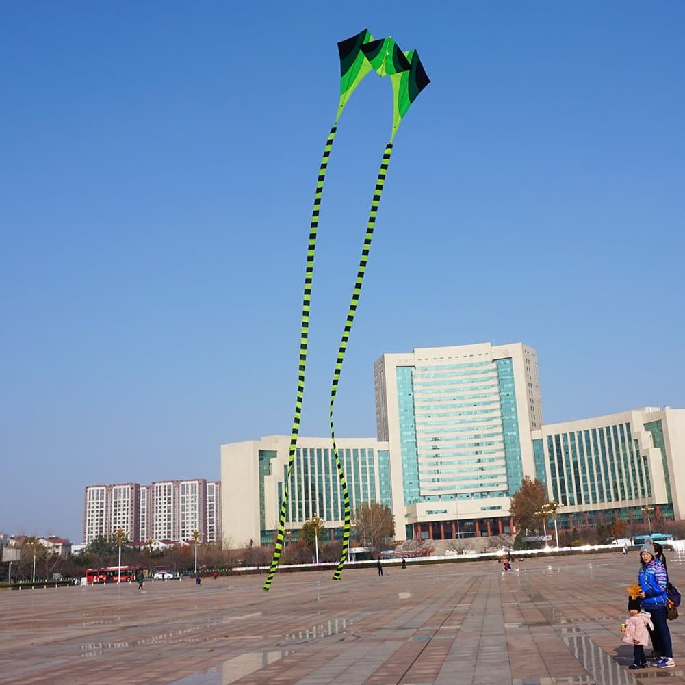 Large Single Line 3D Diamond Flowing Frog Kite with 2 Long Tails Outdoor Fun Sports for Kids & Adults