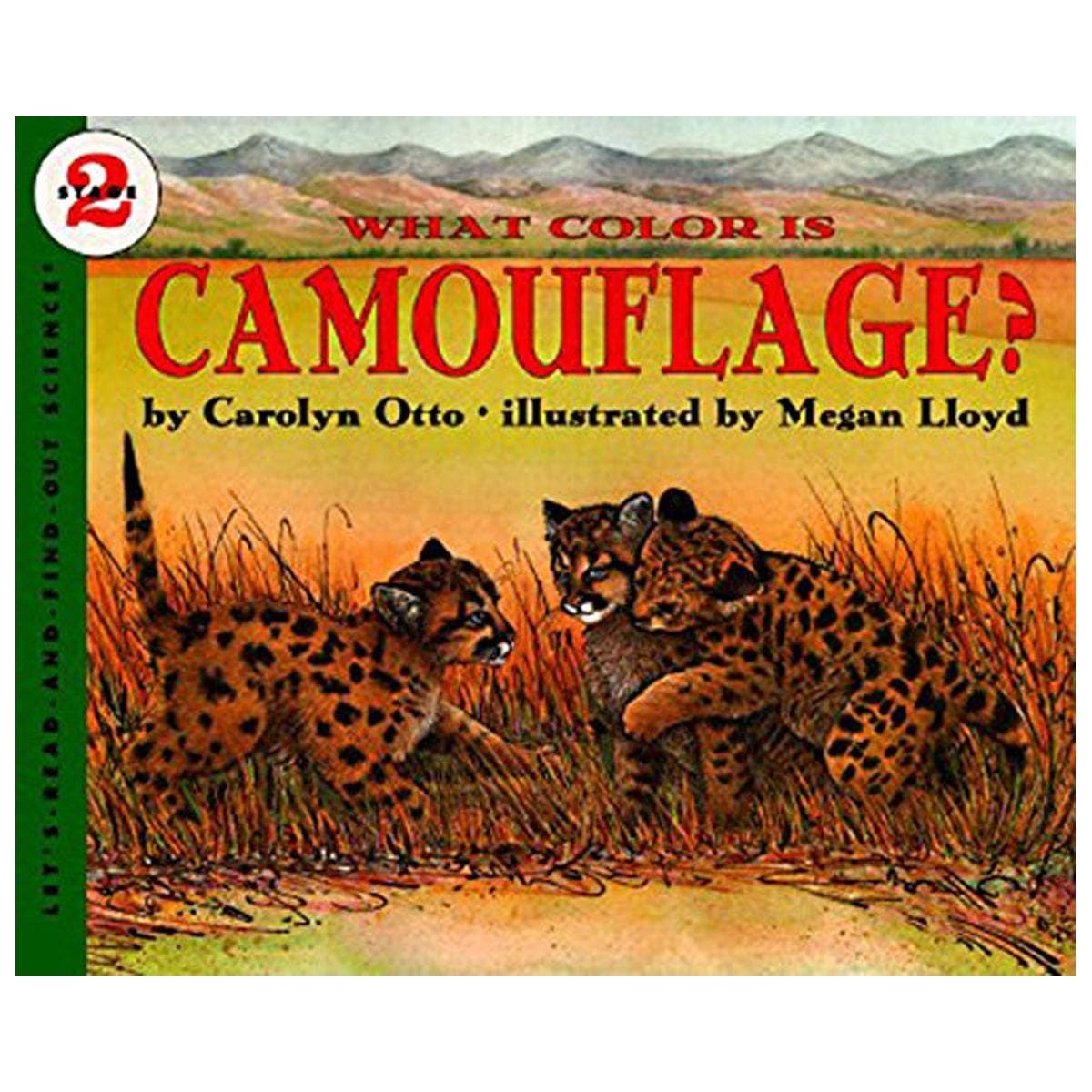 What Color Is Camouflage?