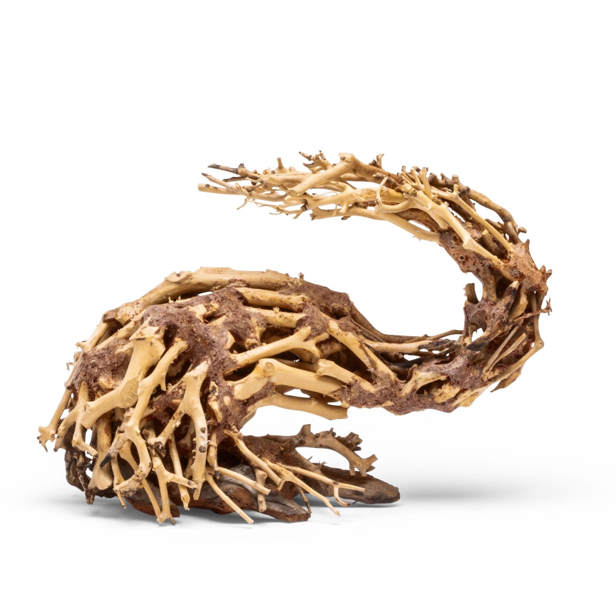 Ultum Nature Systems Bonsai - Handcrafted Hardscape Driftwood for Aquarium, Terrarium, Vivarium, Natural Aquascape Hardscape Decorations, Aquascaping Hardscape for Live Aquatic Plants - 001, Large