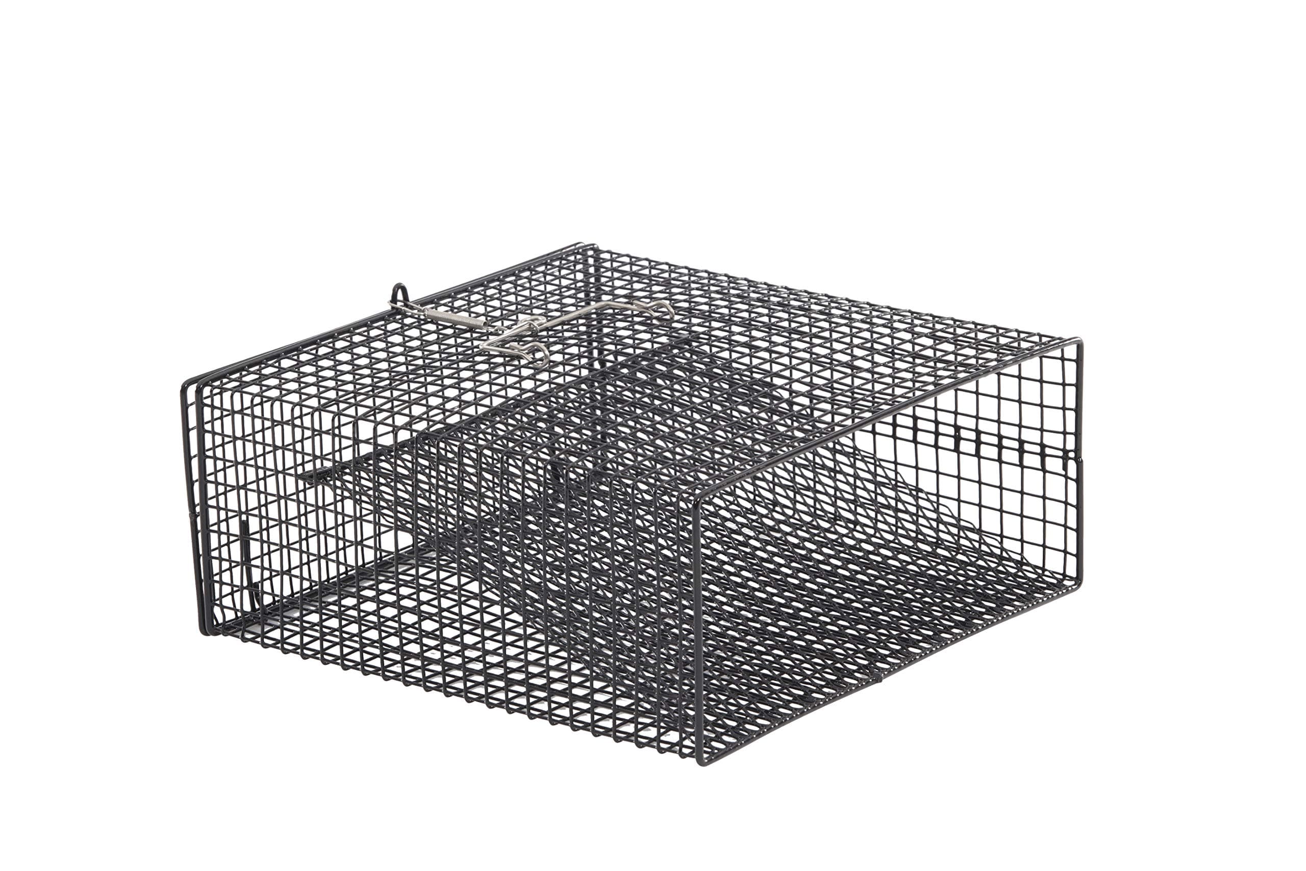 Frabill Flat-Bottom Crawfish Trap | Low-Profile Square Trap Specifically Designed for Crawfish