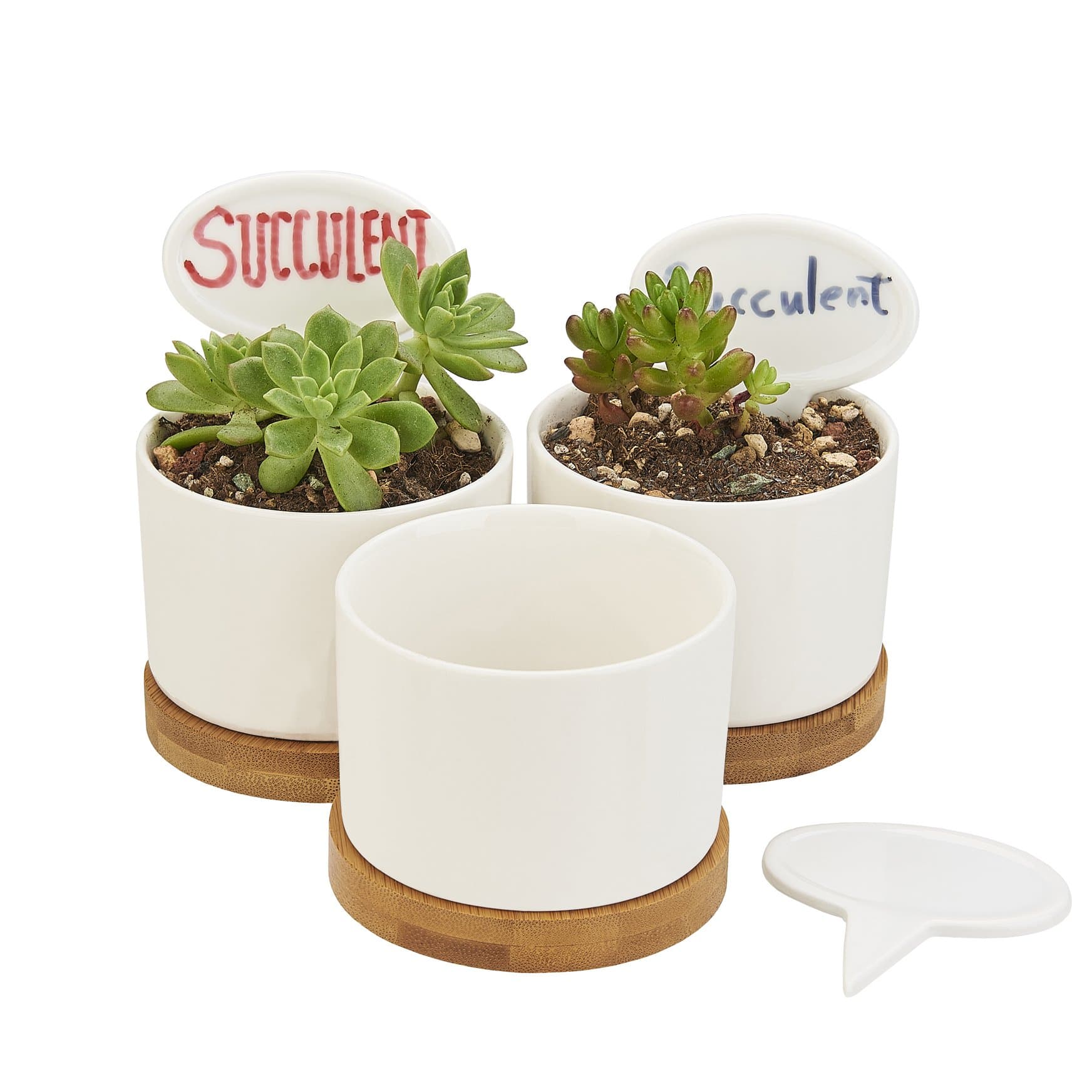 Planter Pots Indoor