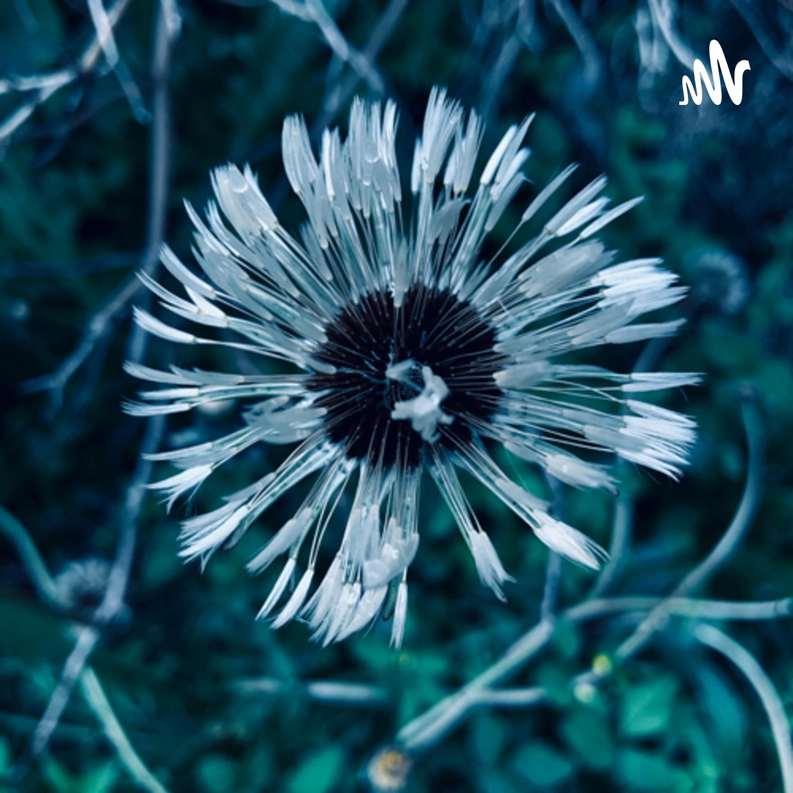 Auntie Bee Says G'night