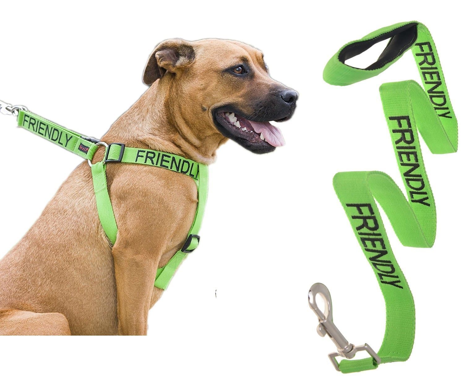 Dexil Limited Friendly Color Coded Green L-XL Non pull Dog Harness and 4 Foot Leash Set (Known As Friendly) Prevents Accidents By Warning Others of Your Dog in Advance