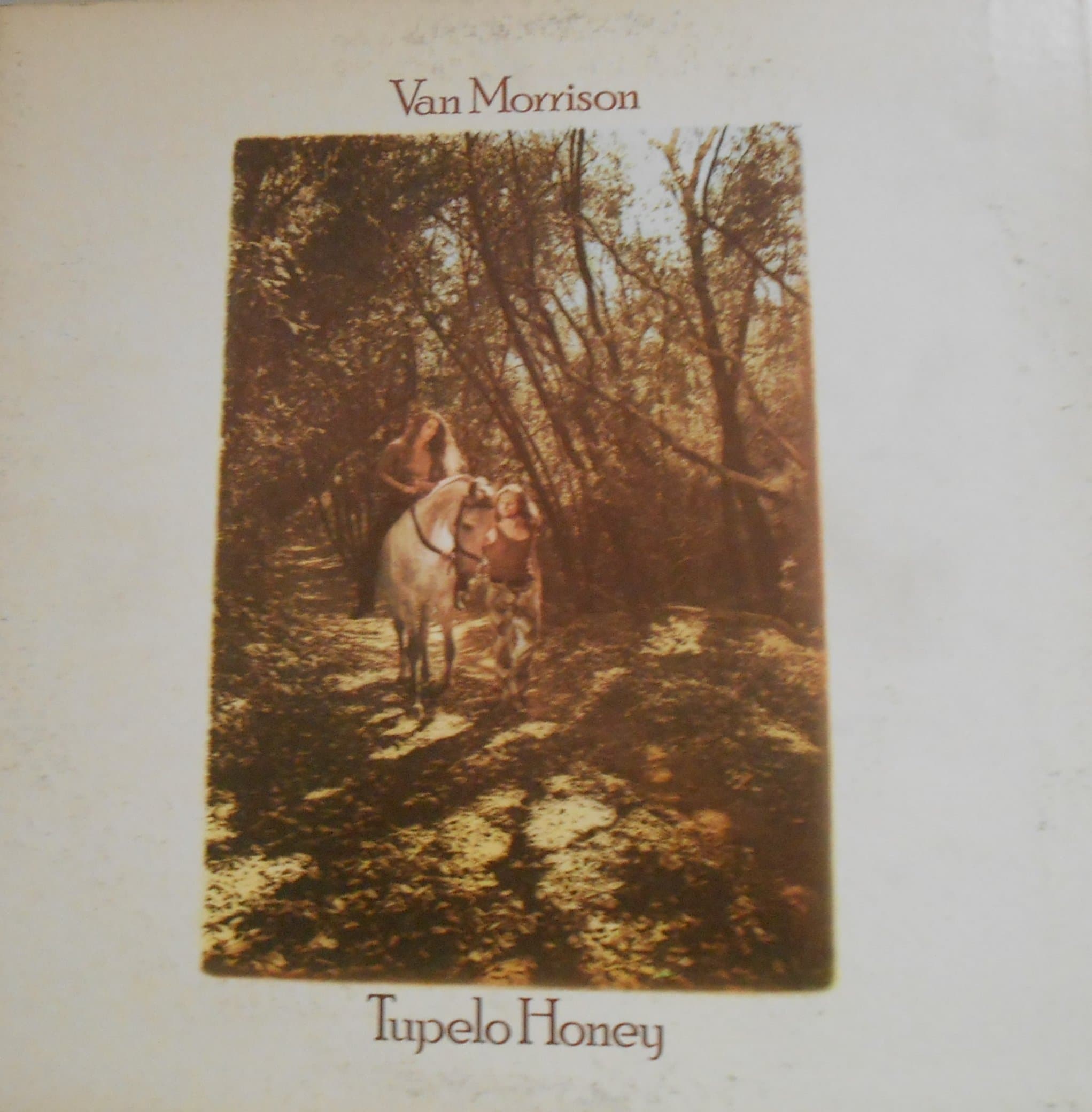 Tupelo Honey