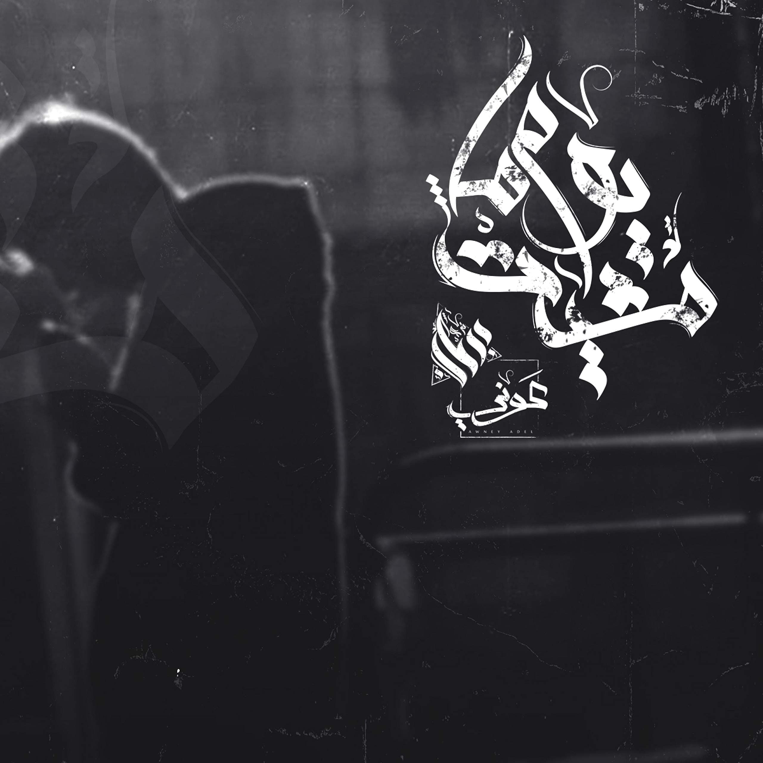 يوم ما مشيت