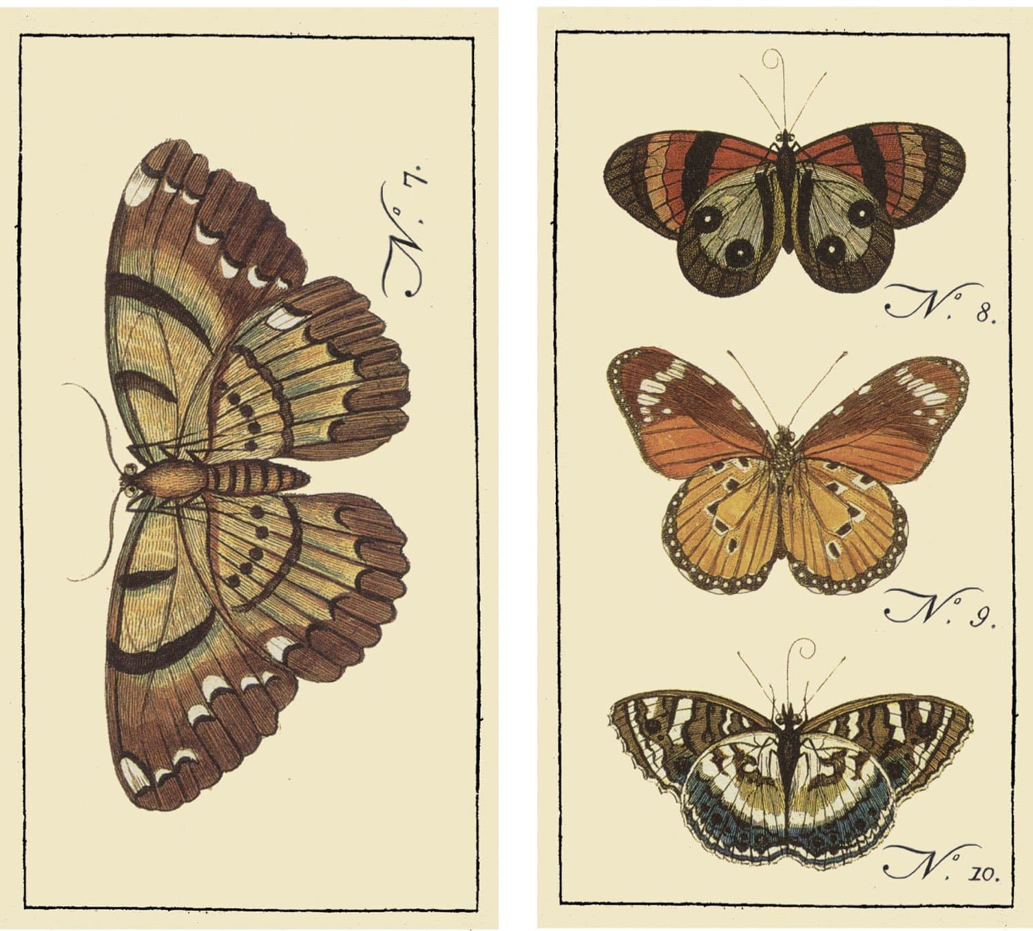 HomArt Large Decorative Butterfly Insect Matches