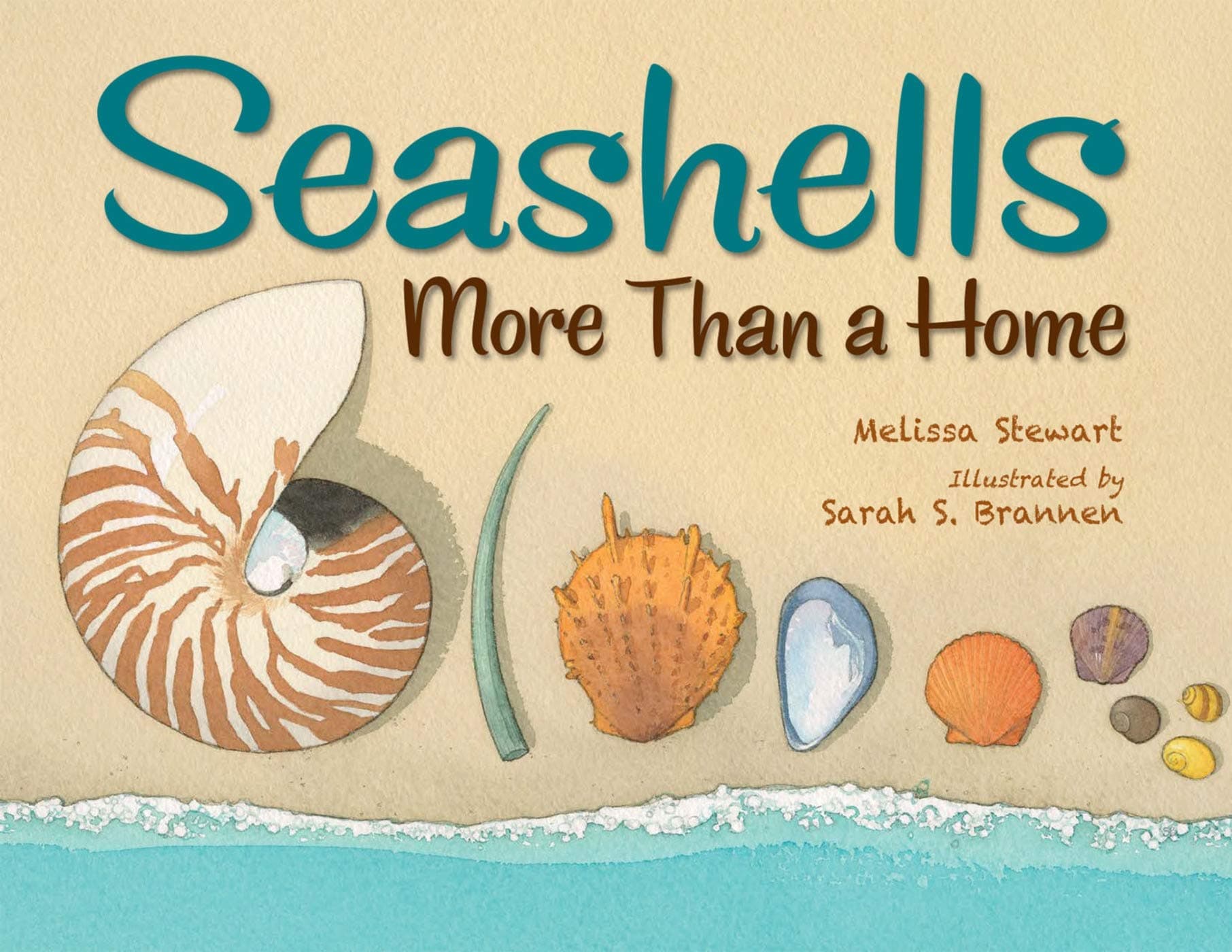 Charlesbridge Publishing Seashells