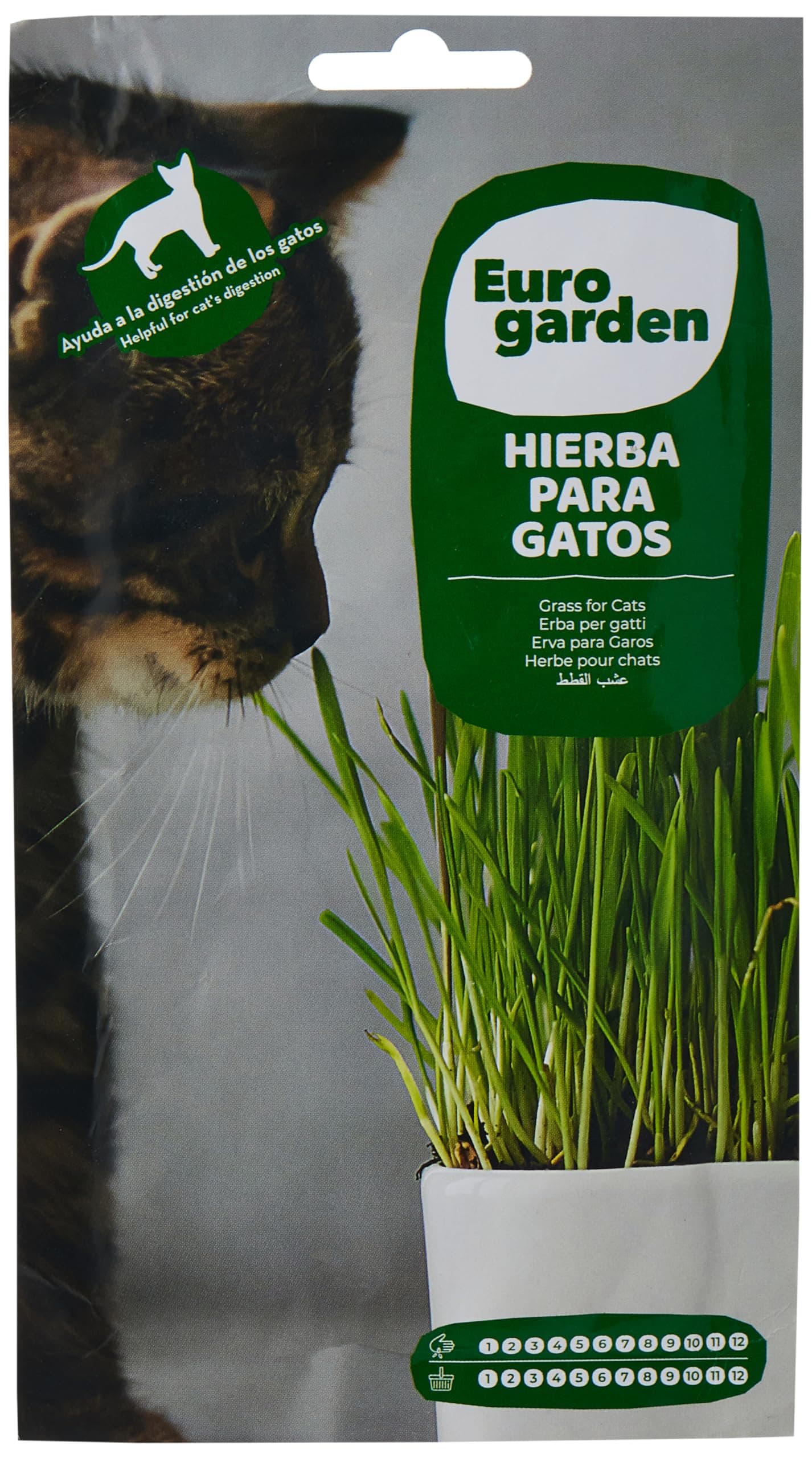 Cat Grass Seeds 15 G