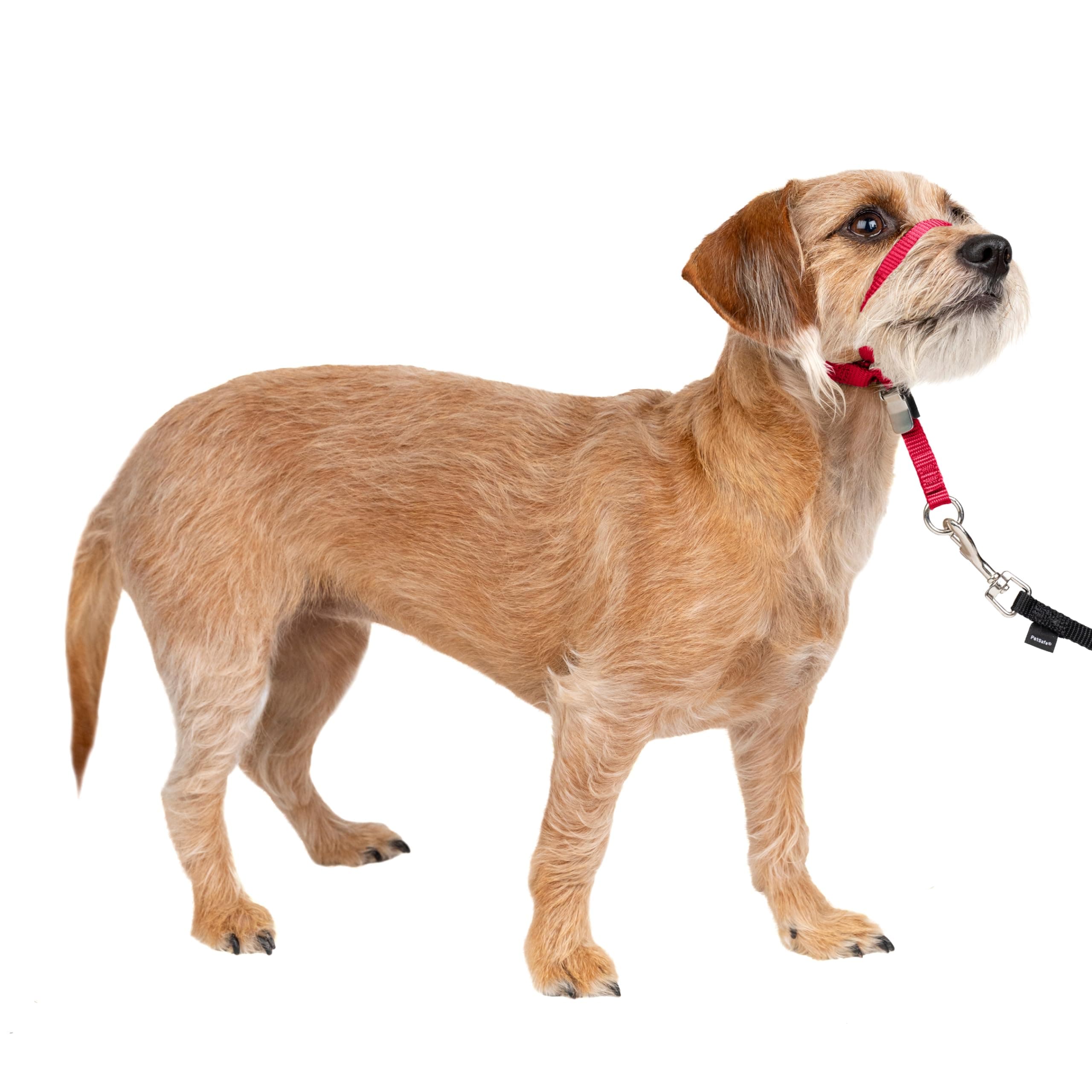 ジェントルリーダー単品 赤