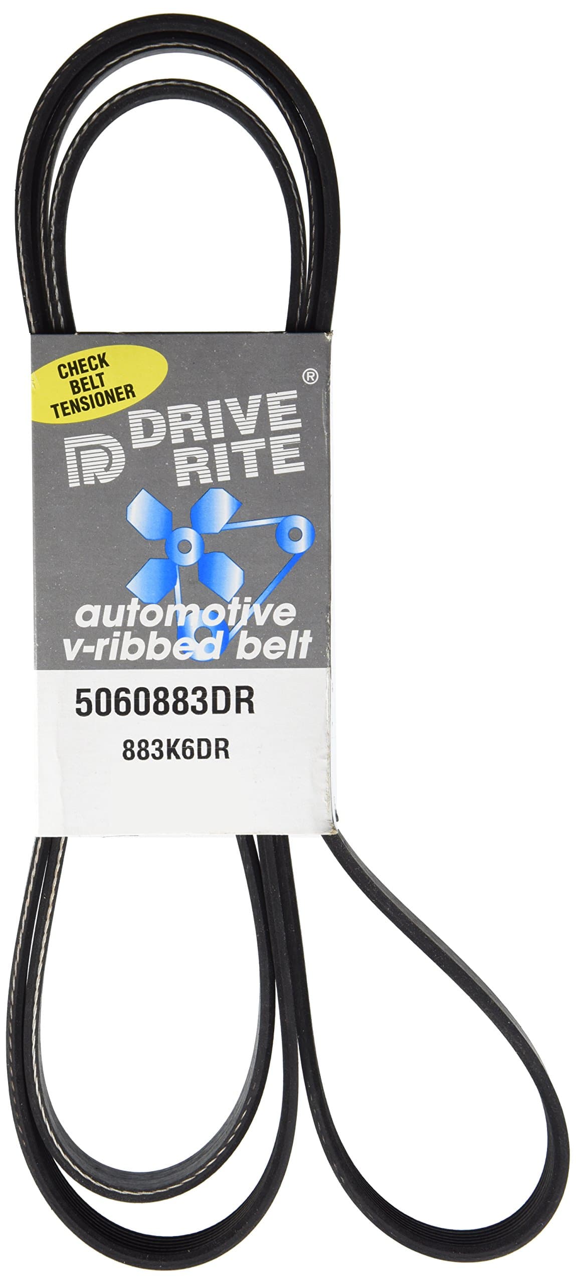 DaycoDrive Rite 5060883DR Serpentine Belt