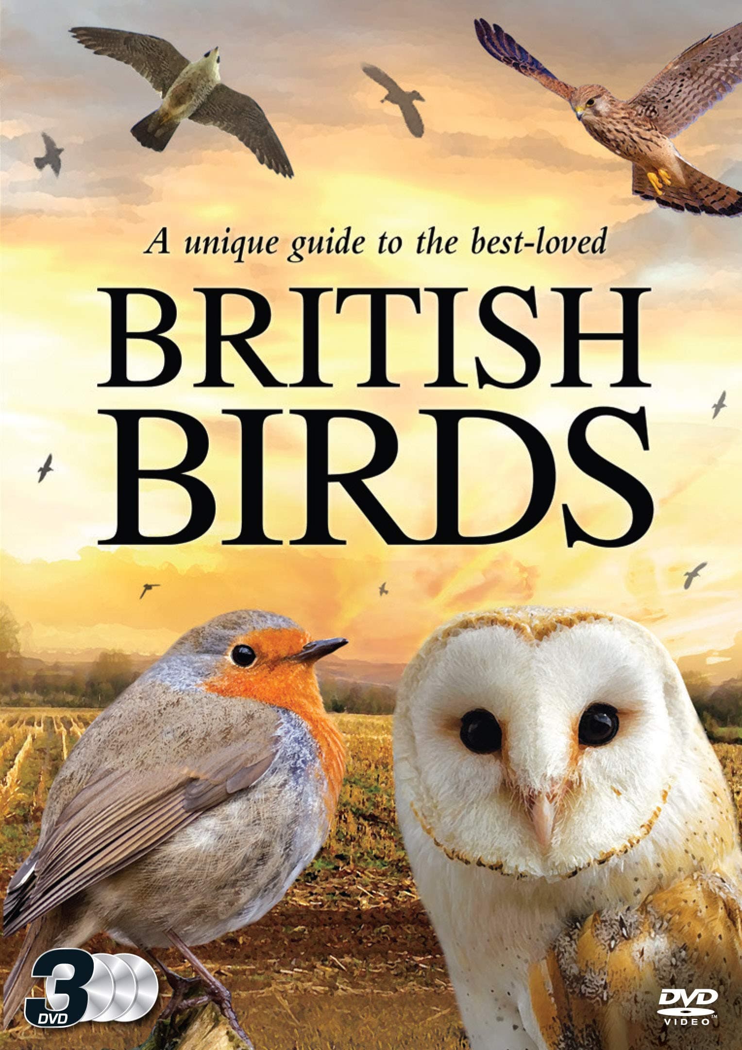 British Birds [3 DVD BOXSET]