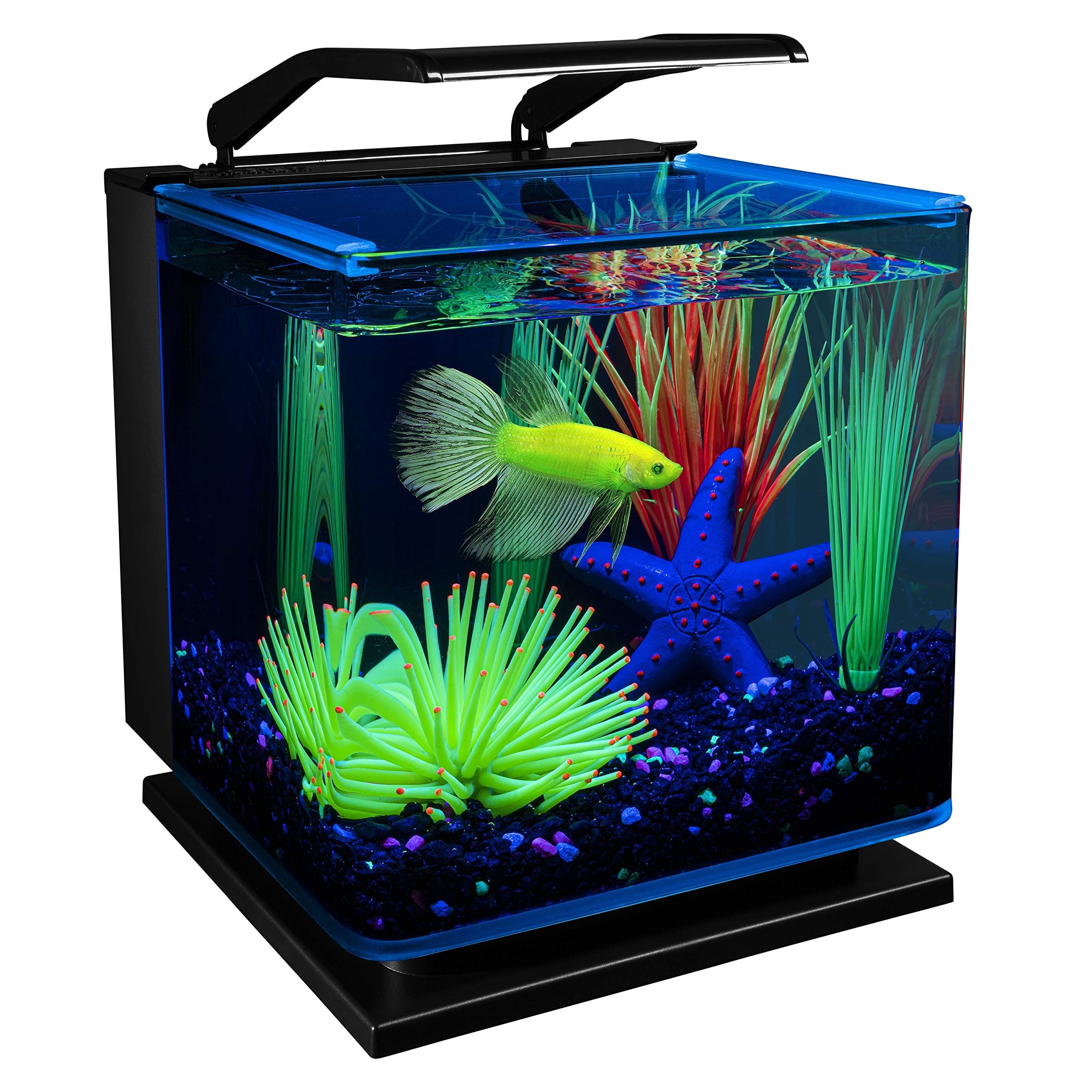 Betta Shadowbox Aquarium Kit
