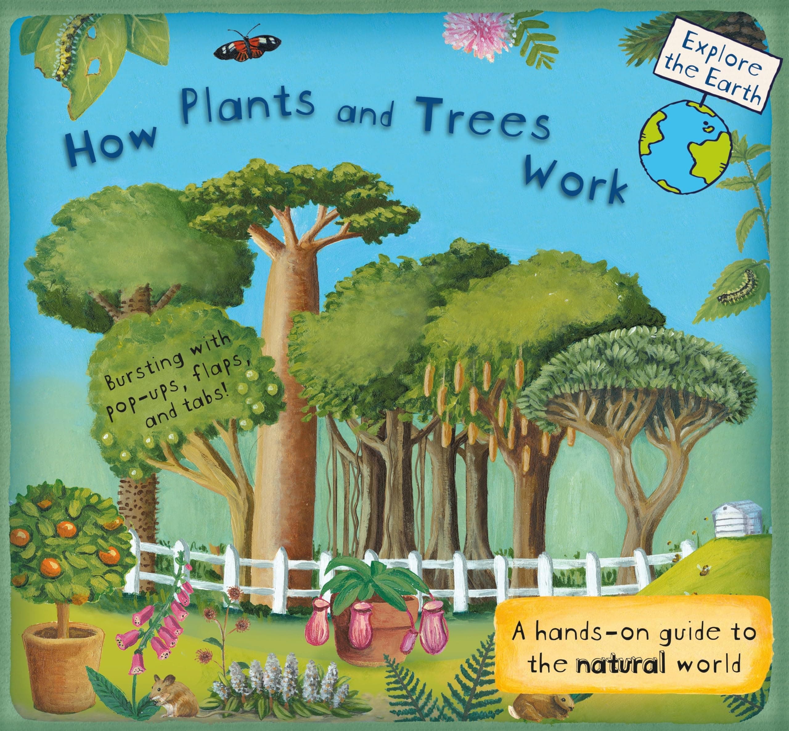 How Plants and Trees Work: A Hands-On Guide to the Natural World Hardcover – Lift the flap, 12 September 2017