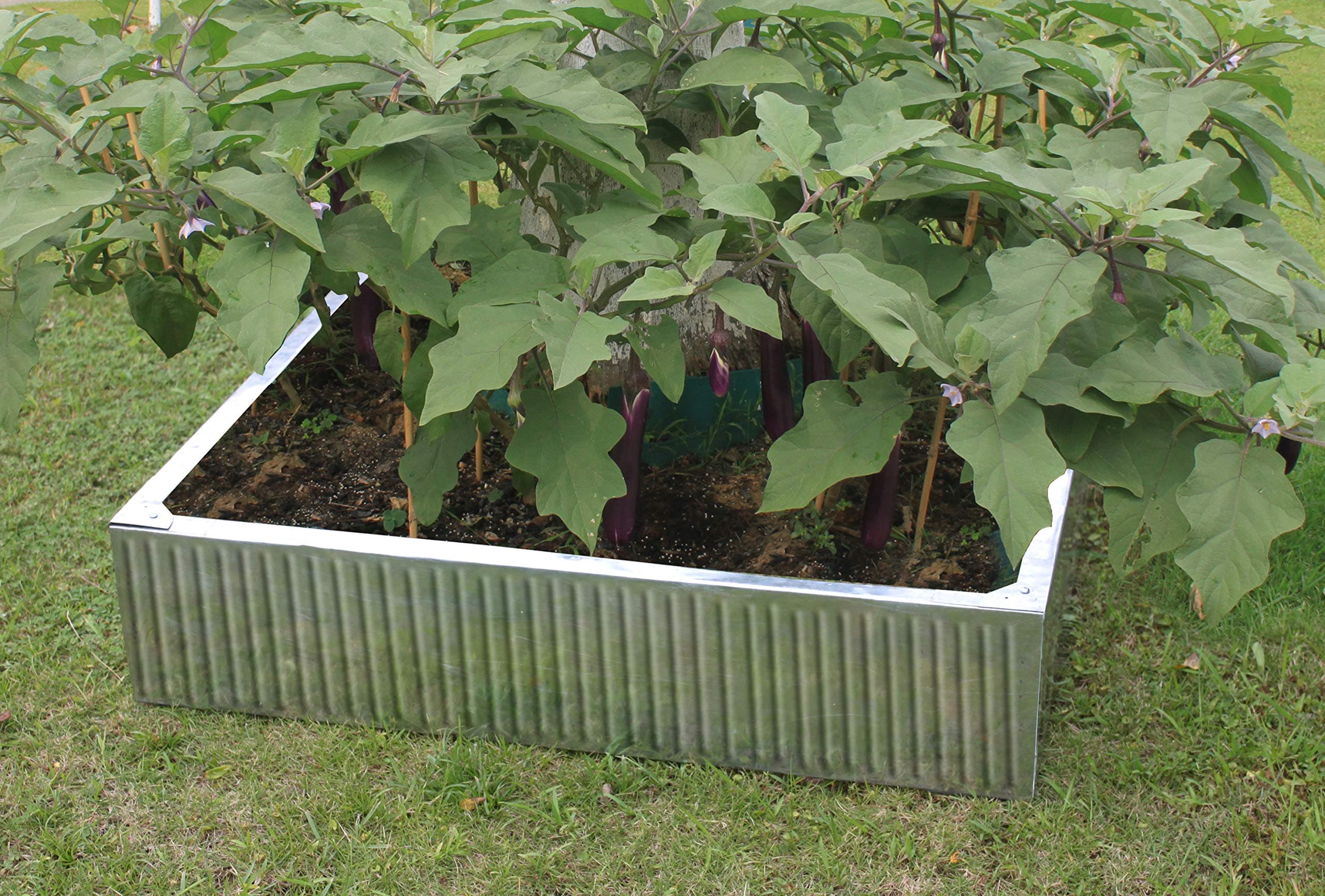 Hansons Garden Galvanised Raised Bed