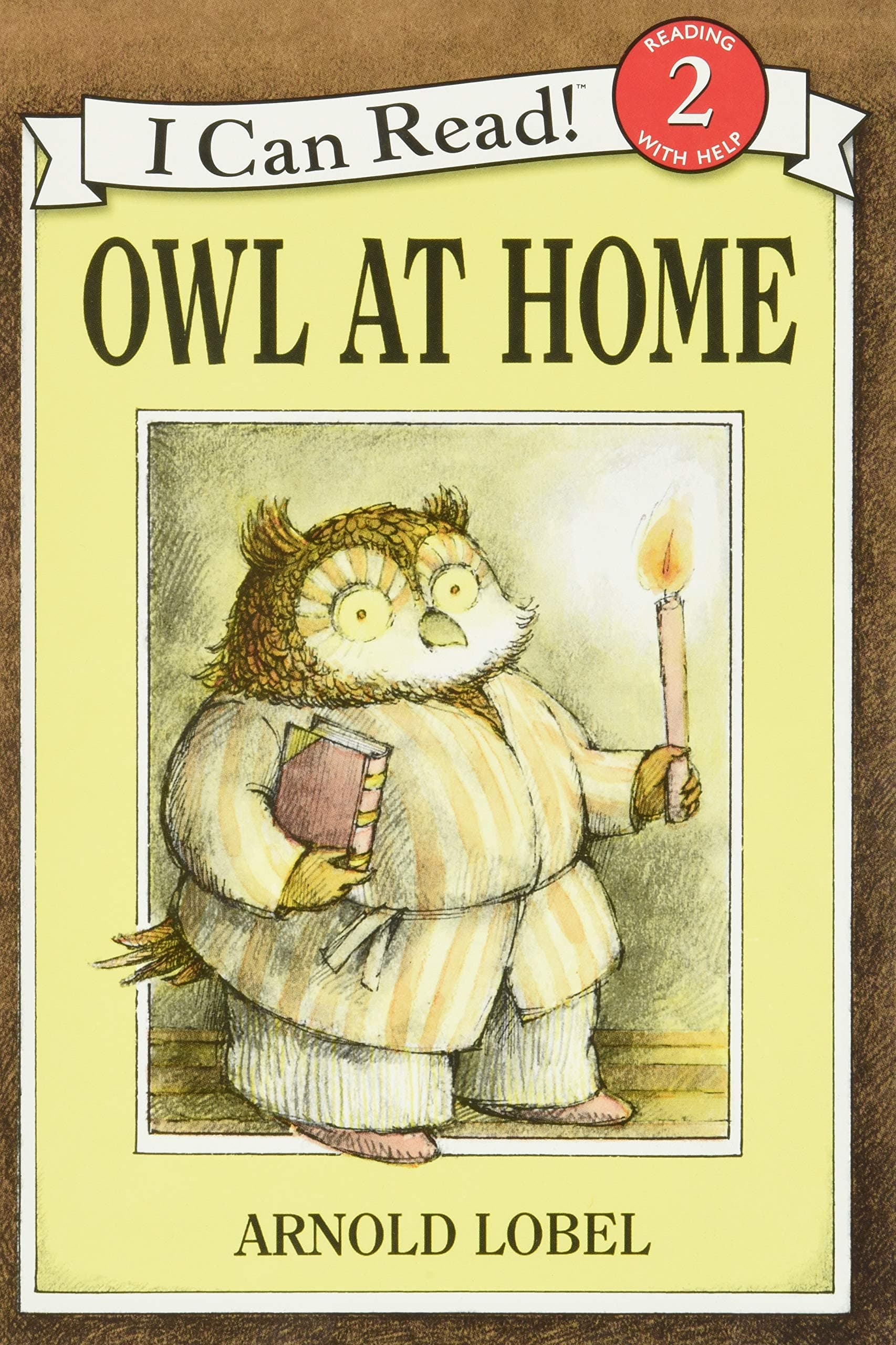 Owl at Home