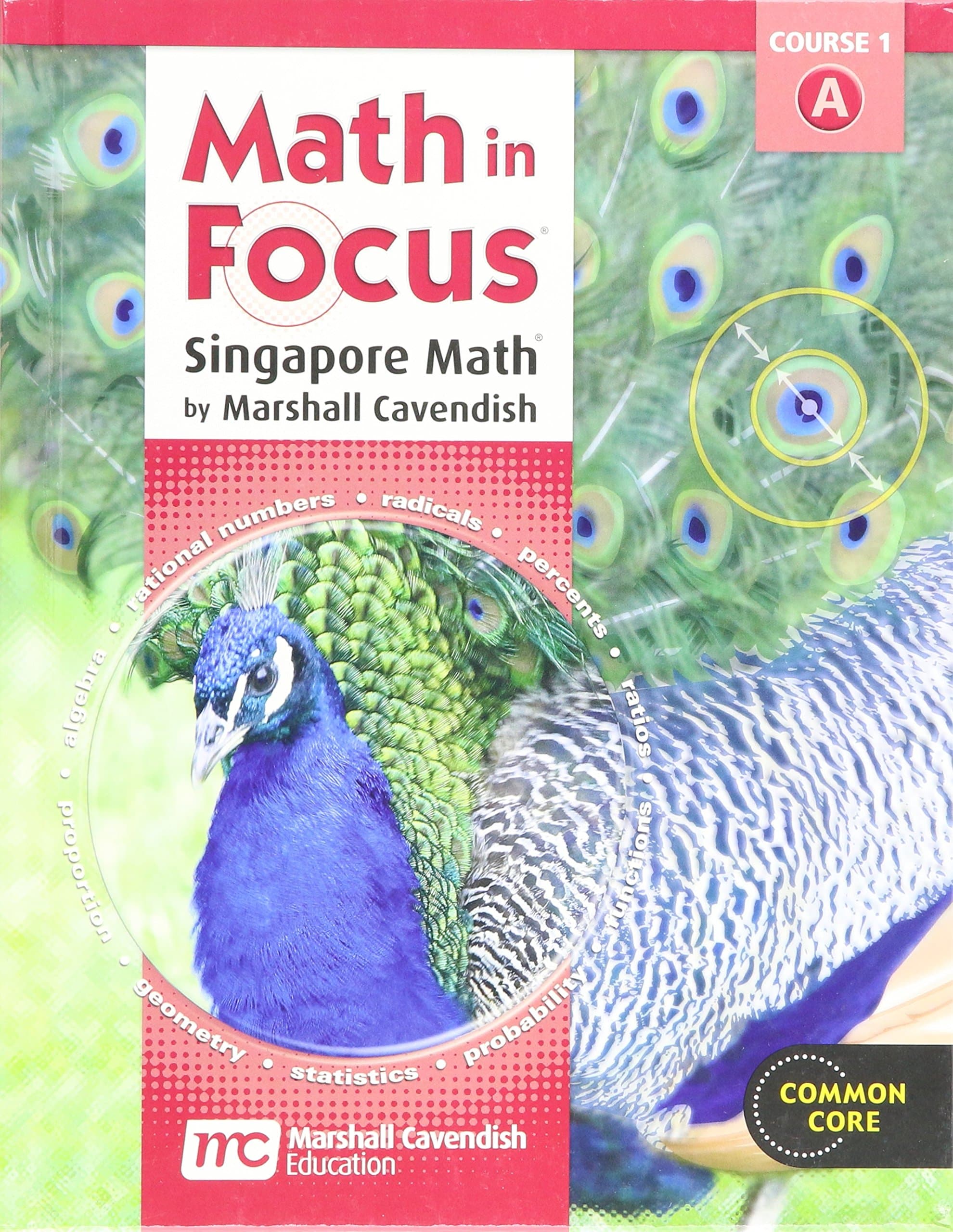 Student Edition Grade 6 2012: Volume a (Math in Focus: Singapore Math)