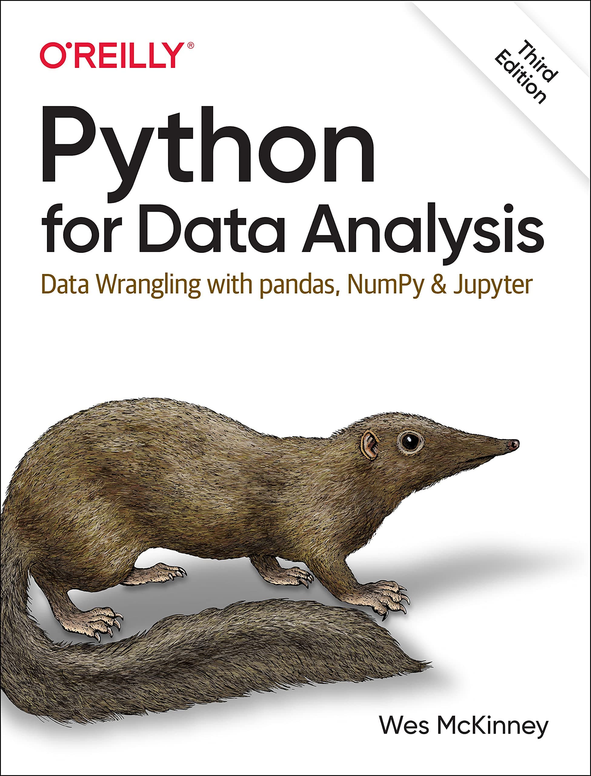 PYTHON FOR DATA ANALYSIS Paperback – 20 September 2022