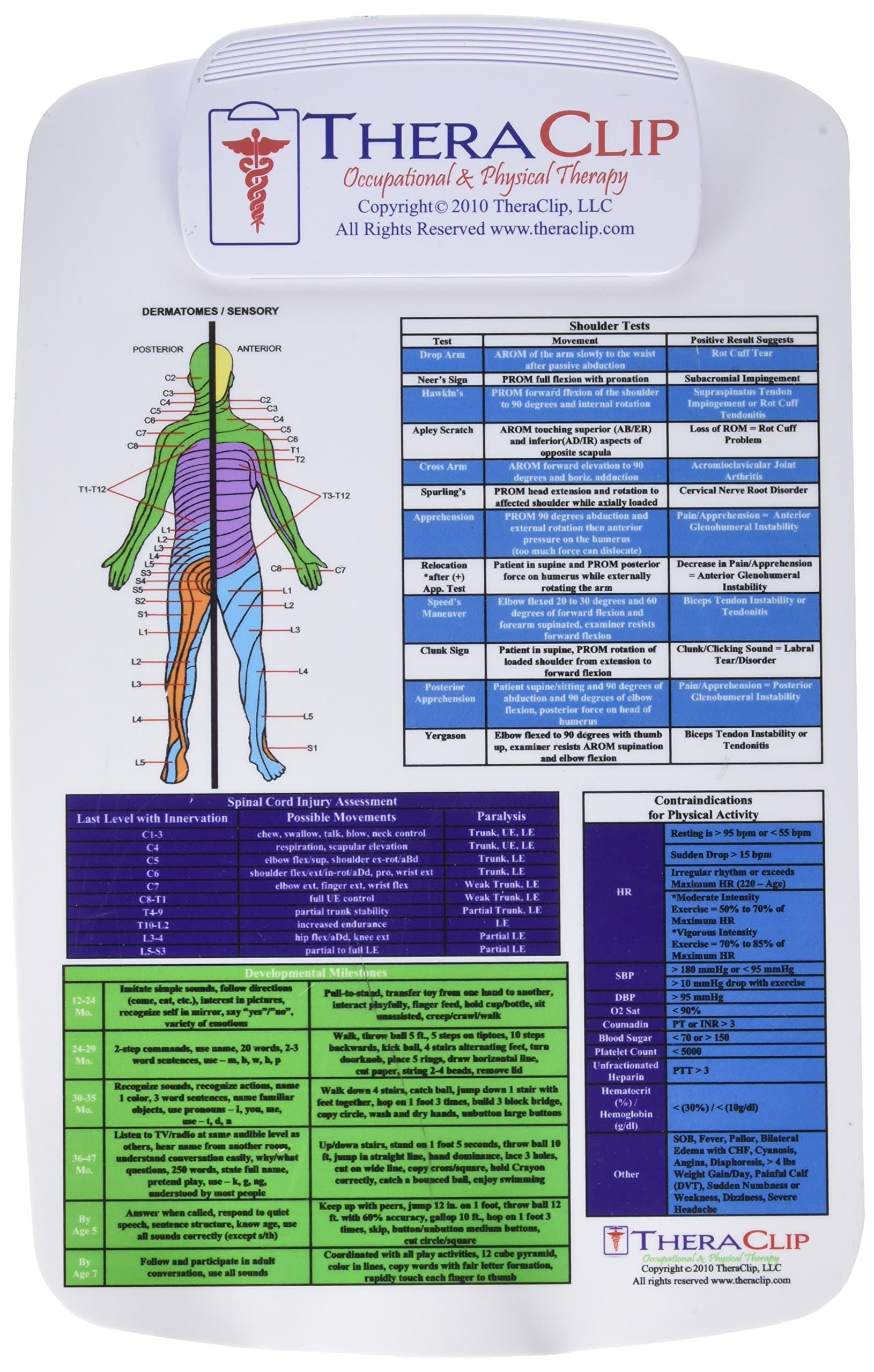 Physical and Occupational Therapy Clipboard