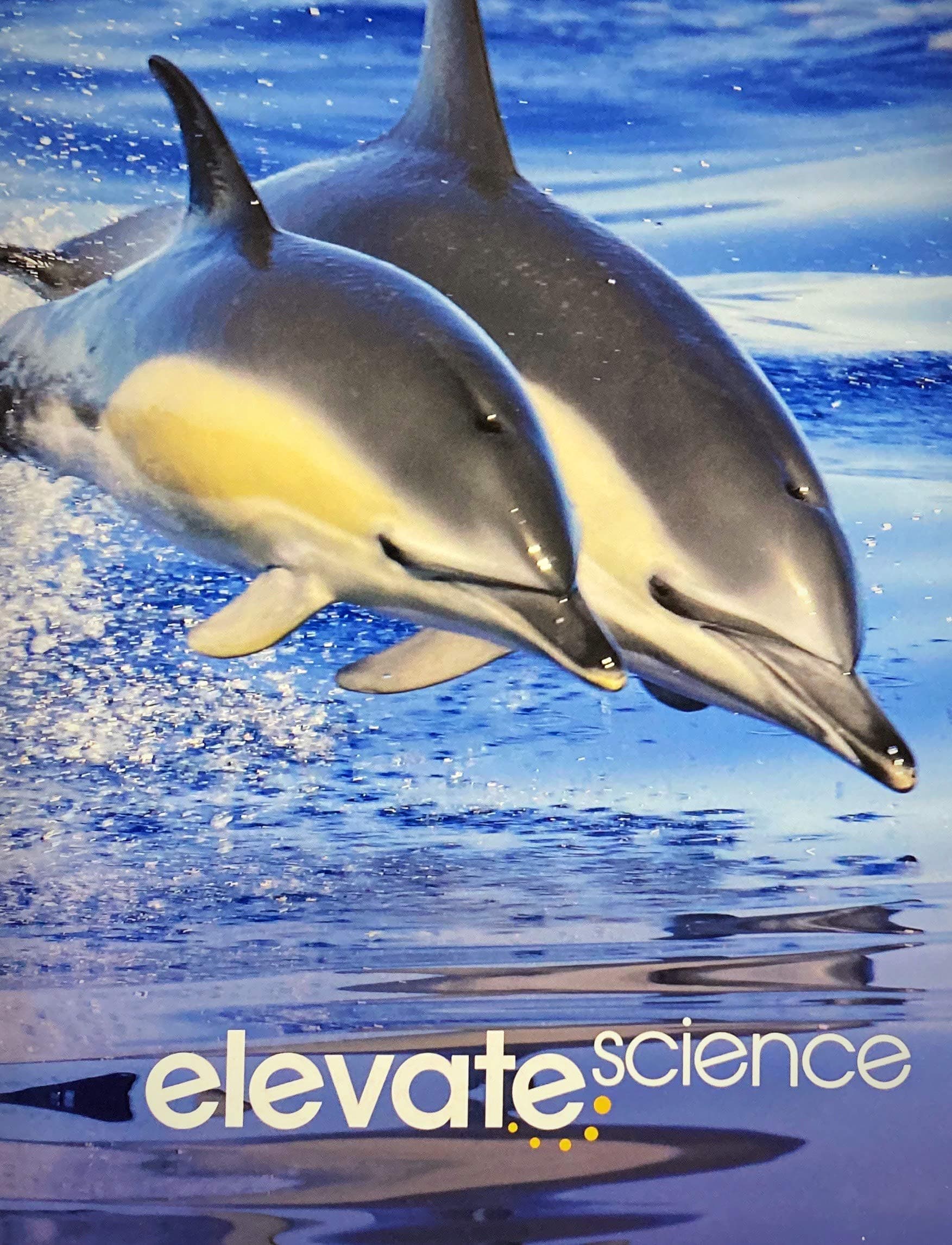 Elevate Elementary Science 2019 Student Edition Grade 1