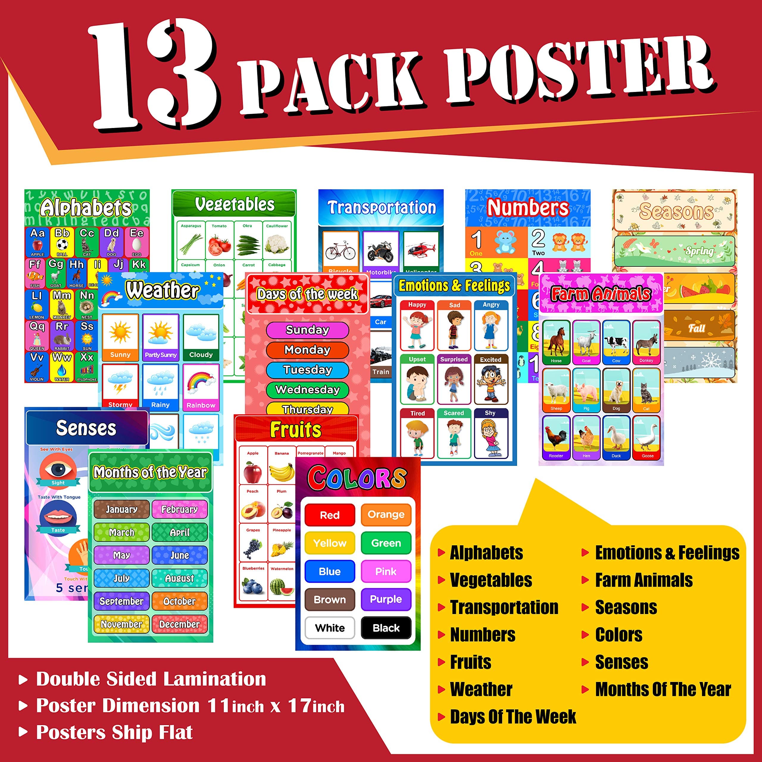 13 Pack Educational Posters