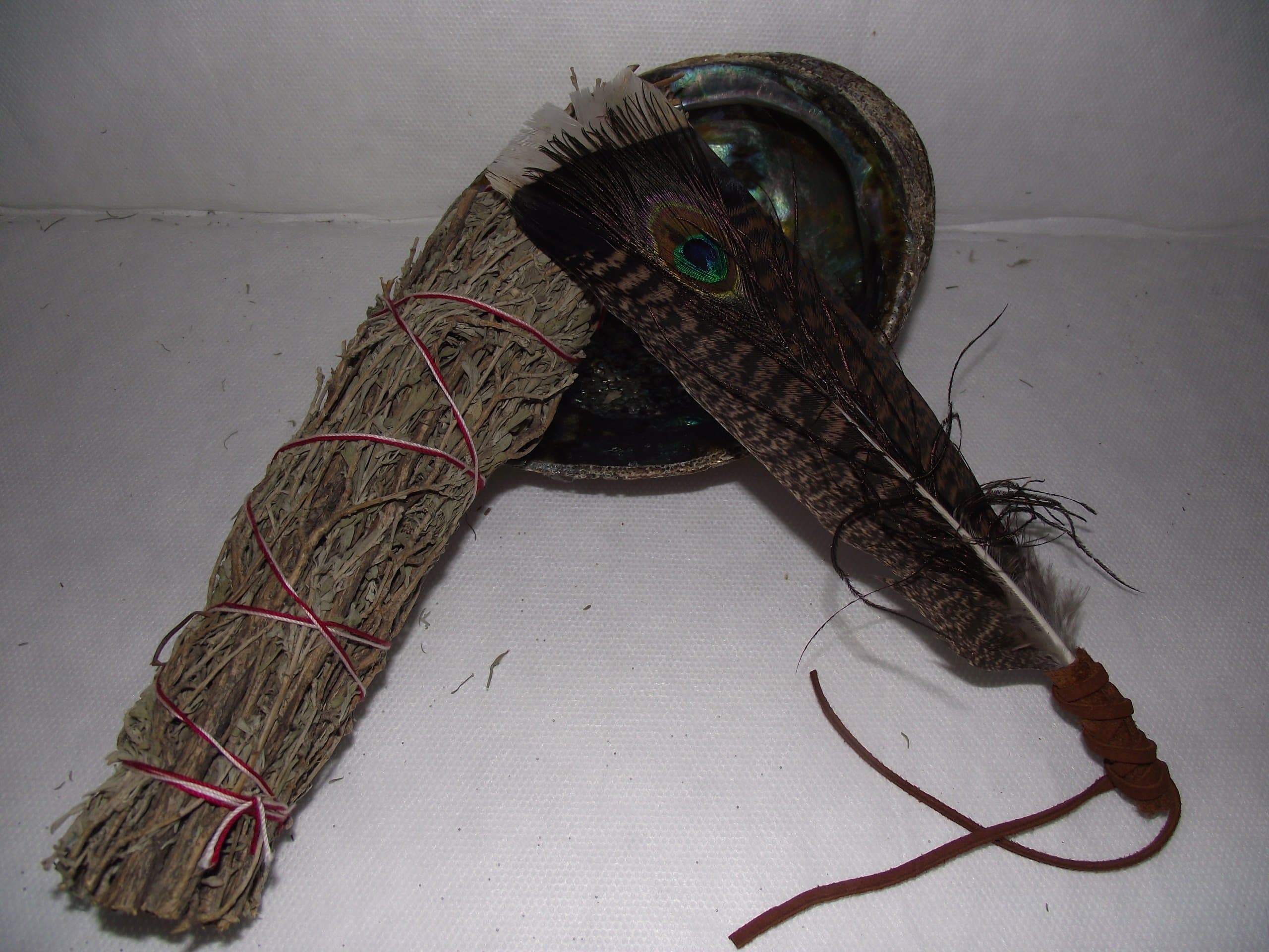 Sacred sage Smudge kit Large Abalone Shell