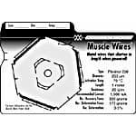 Flexinol 375LT Muscle Wire 1m