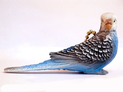 Budgie Ceiling Fan Light Pull Chain