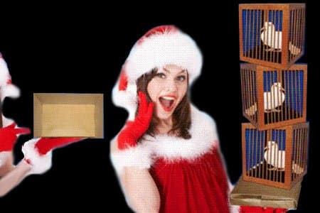 Appearing 3 dove cages from empty bag