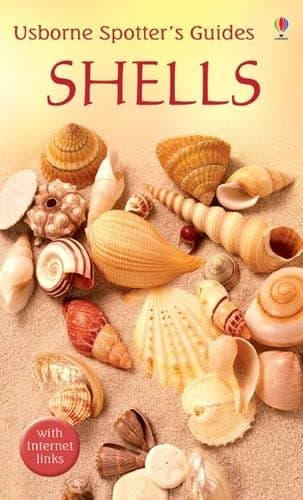 Shells (Usborne Spotter's Guide)