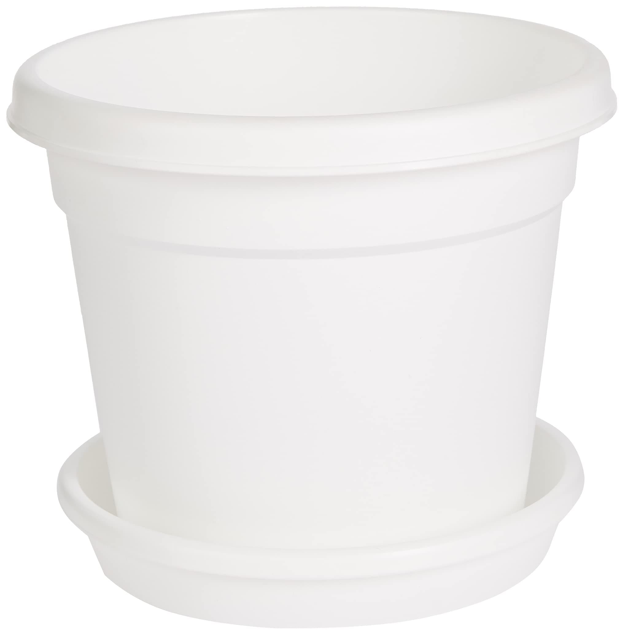 Cosmoplast Plastic Round Flowerpot