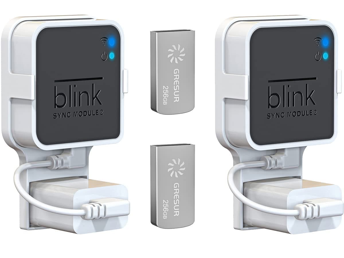 256GB Blink Flash Drive and Blink Sync Module 2 Mount (2pack)