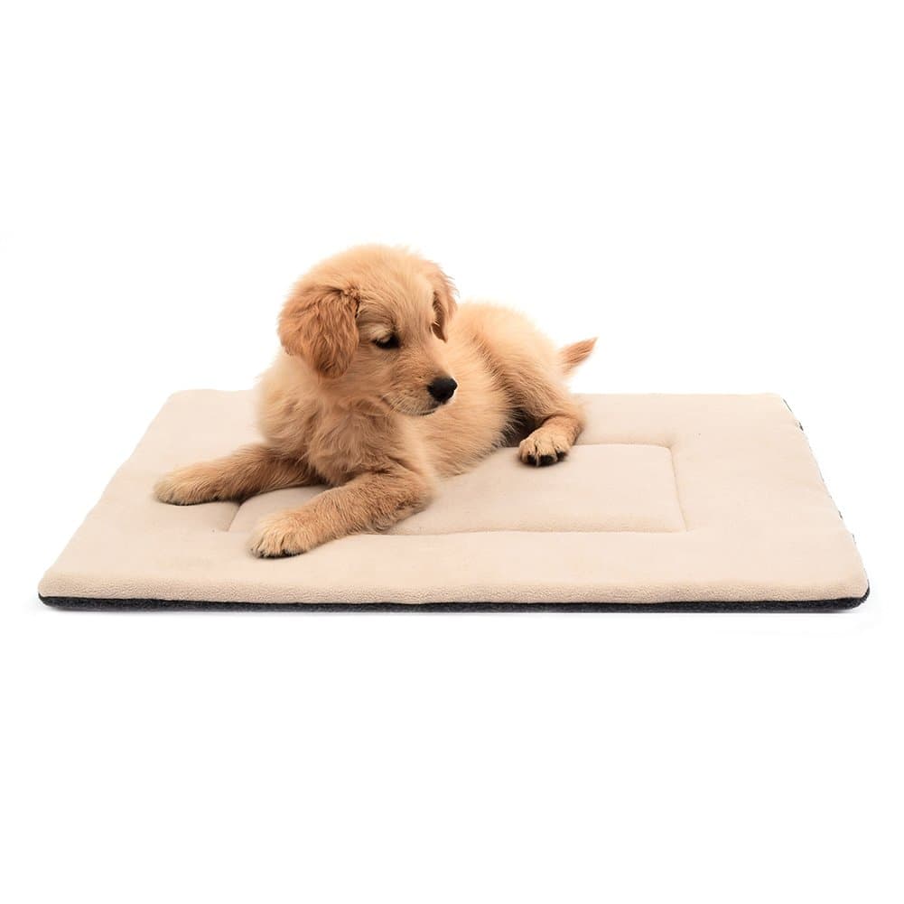 Dog Bed Crate Pad 22"