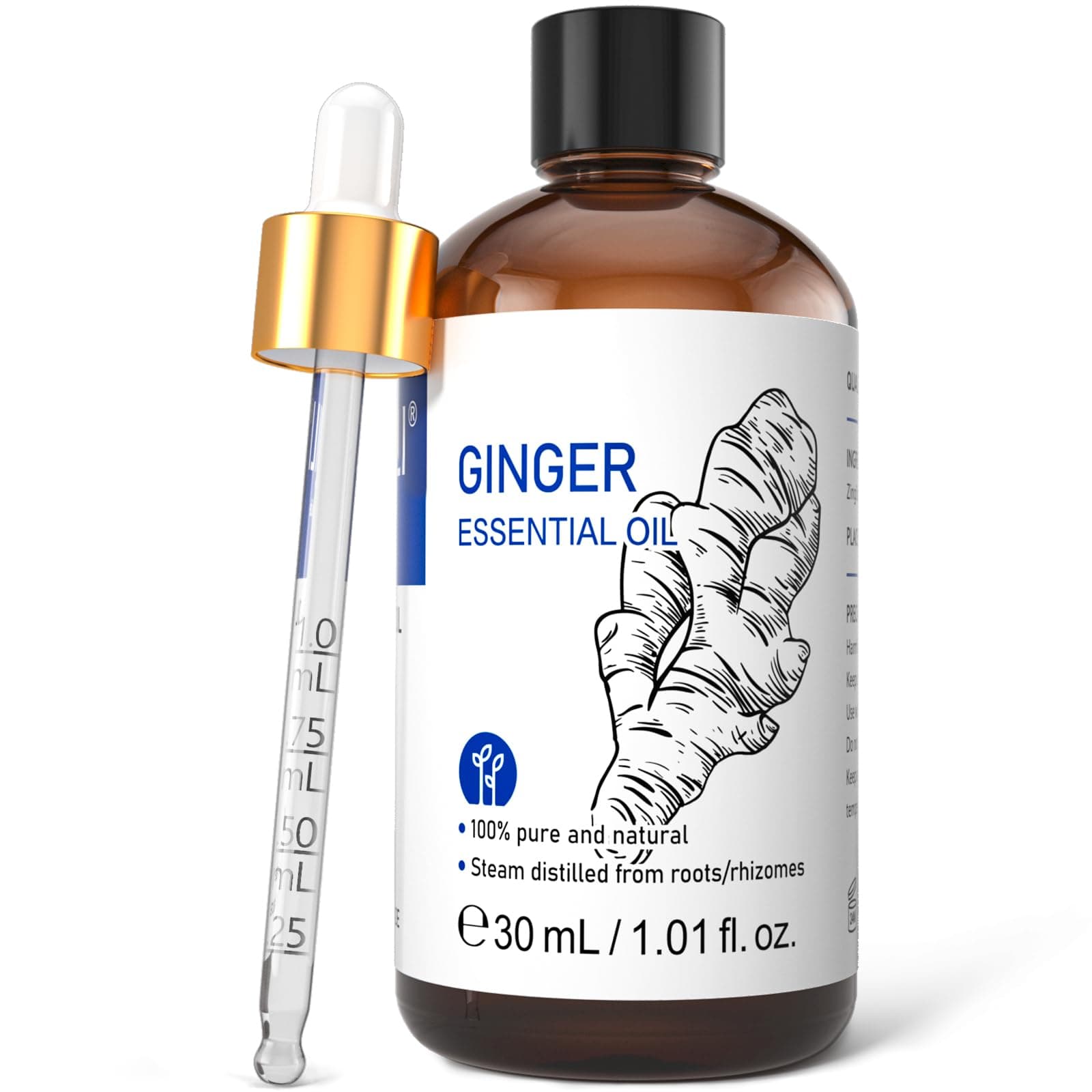 HIQILI Ginger Essential Oil 30ml, 100% Natural Aromatherapy Oil for Diffuser, Aromatherapy, Spray, Bath & Hair Care, Candle Making - 1 Fl Oz