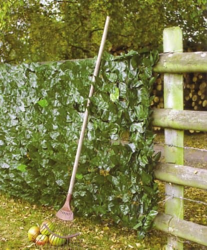 Artificial Ivy Hedge Screening