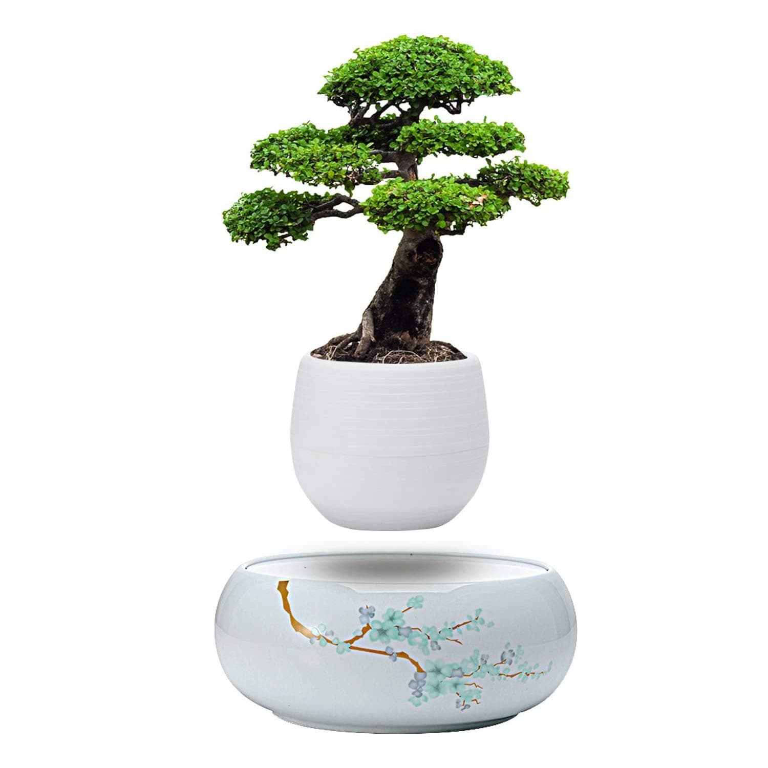 Levitating Mini Plant Pot