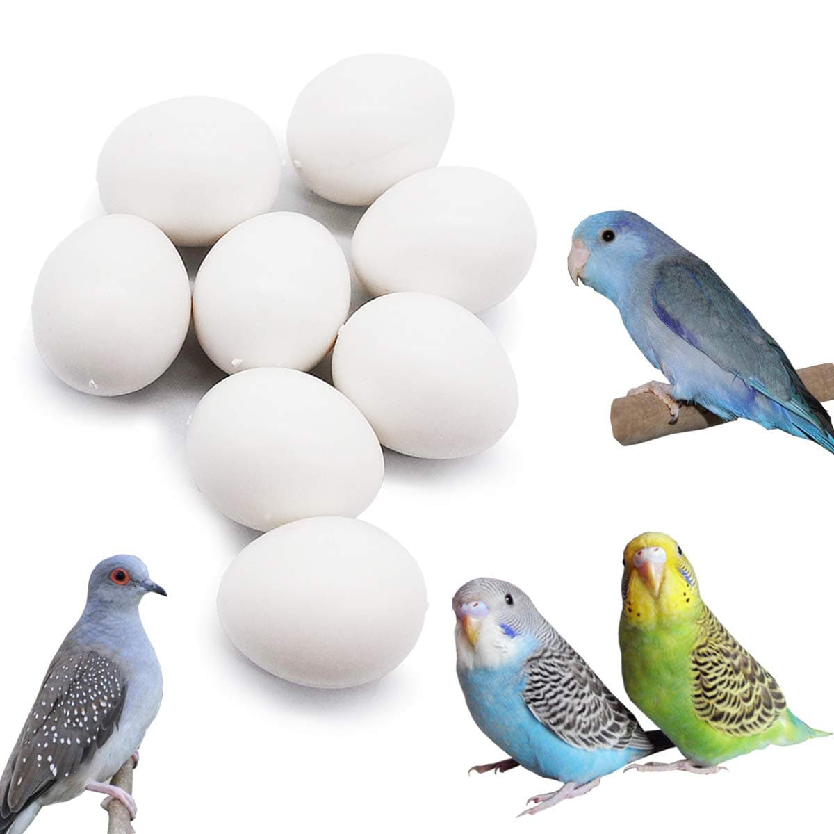 FOIBURELY 8 Pcs Solid Parrot Dummy Eggs Hatching Eggs Parrotlet,Budgie Parakeet,Diamond Dove Trick The Birds to Stop Laying Eggs, Dummy Eggs(19mm16mm)