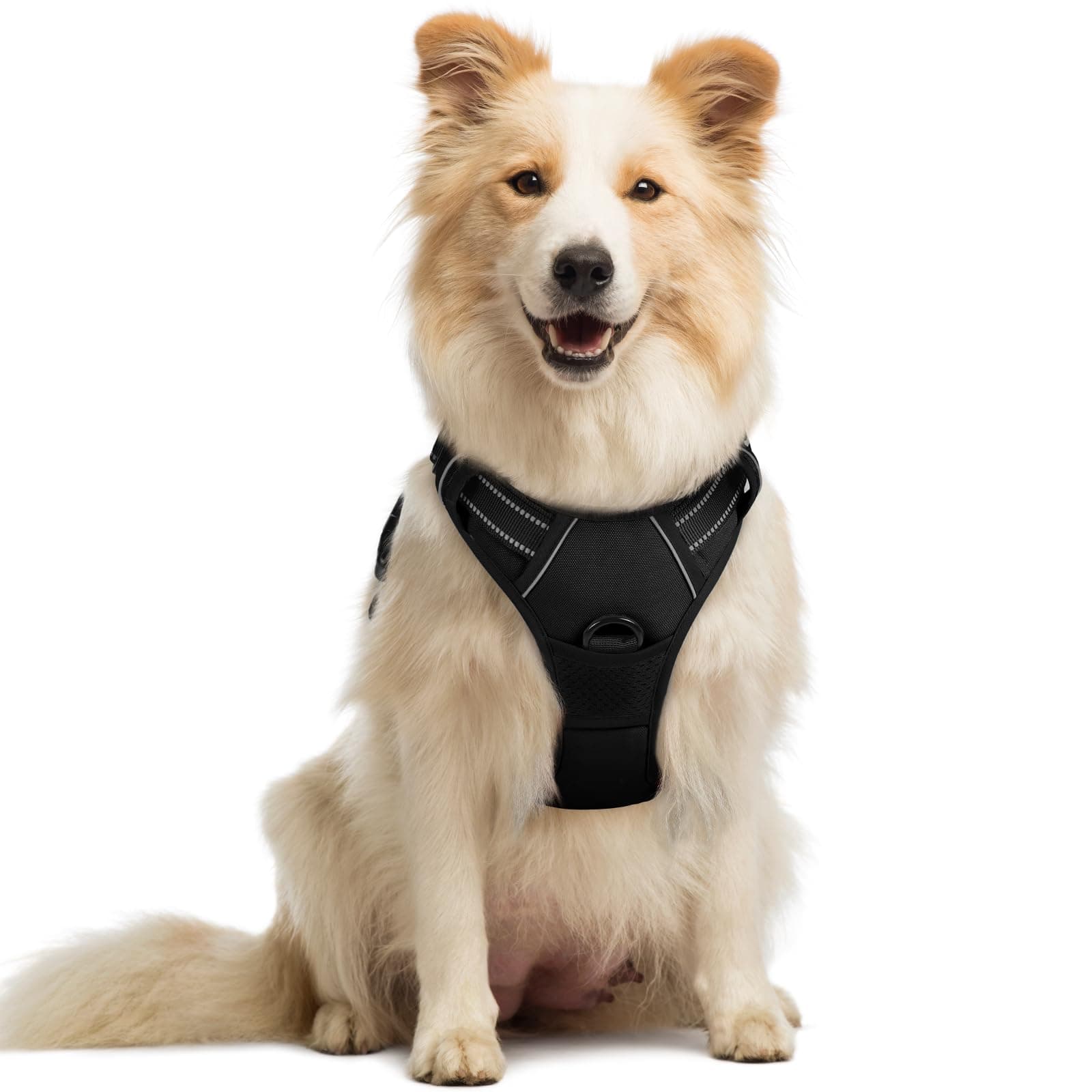 Dog Harness No Pull with 2 Leash Clips, Adjustable Soft Padded, Reflective Oxford No Choke Pet Vest with Easy Control Handle for Medium Sized Dogs, Black, M