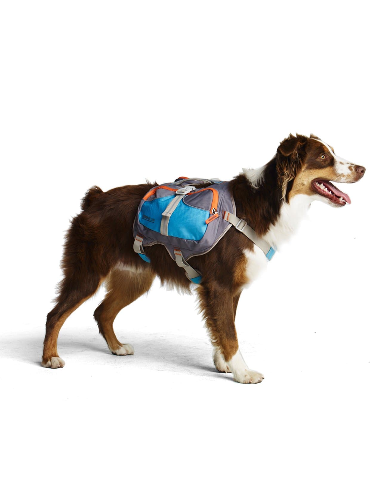 Dog Backpack (Small)
