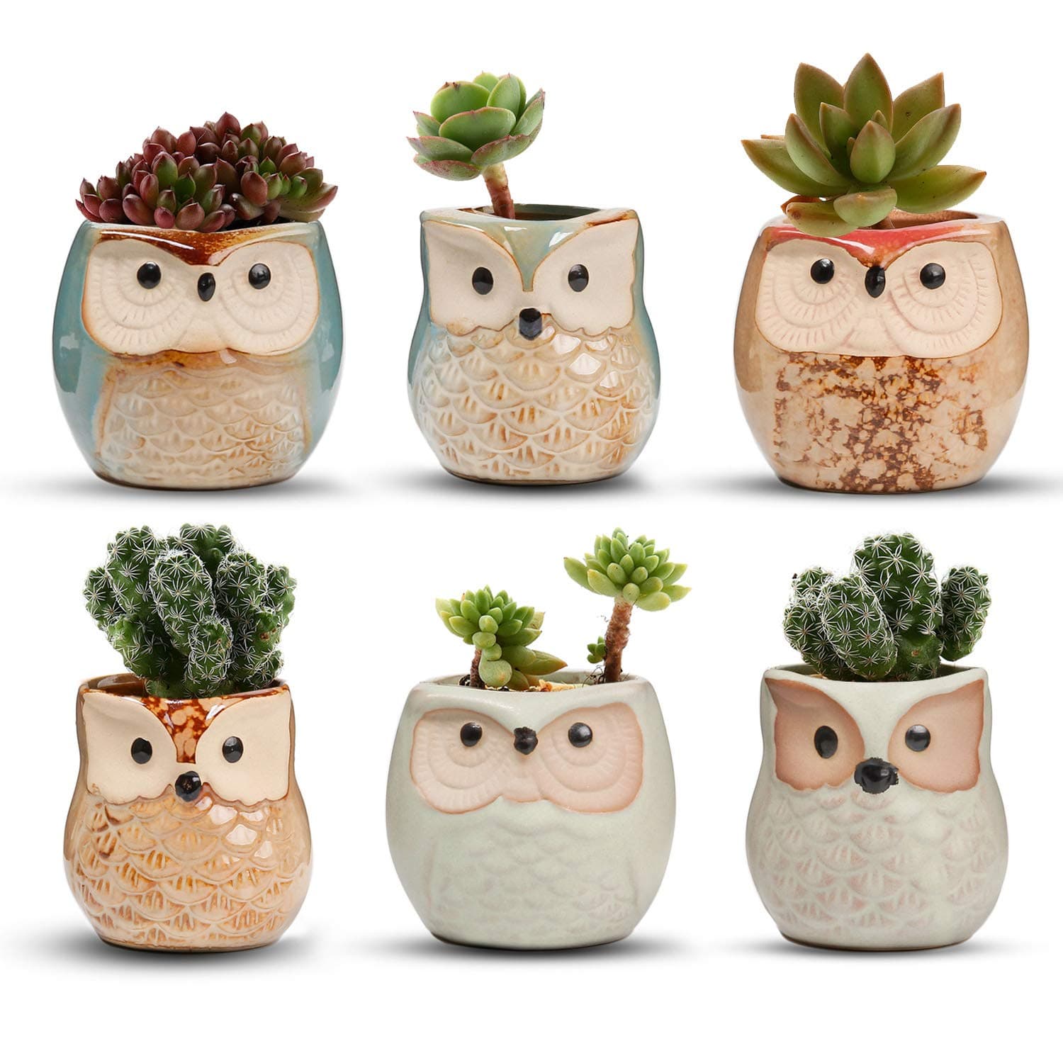 T4U 6CM Ceramic Succulent Planter Pots Mini Size Set of 6, Small Flower Plant Pots with Drainage Hole, Cute Owl Pots for Home Office Decoration, Desktop Windowsill Owl Gift for Gardener for Birthday