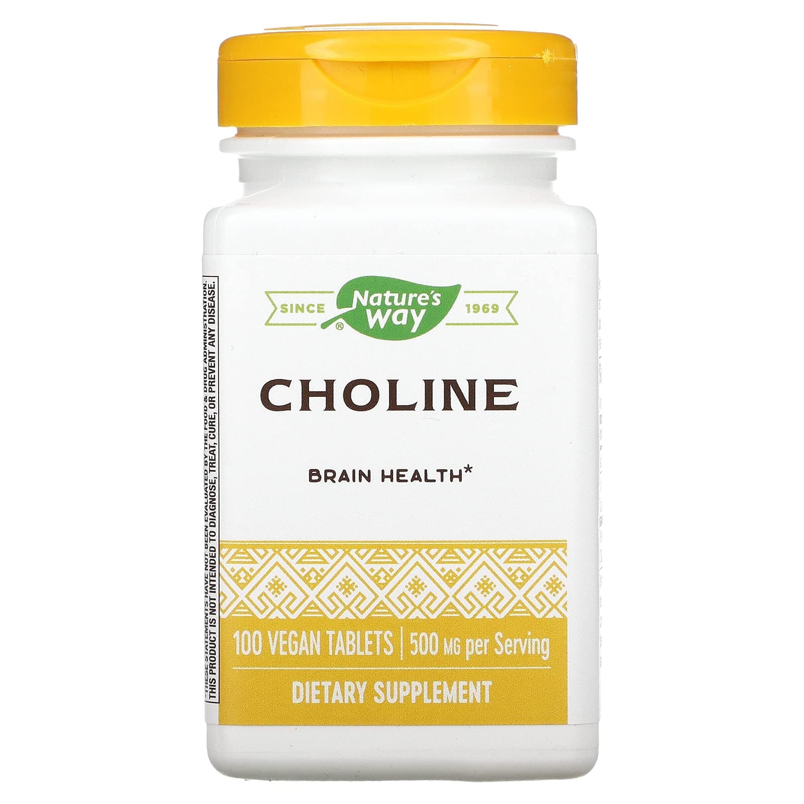 NATURES WAY Choline 500mg 100 Tablets