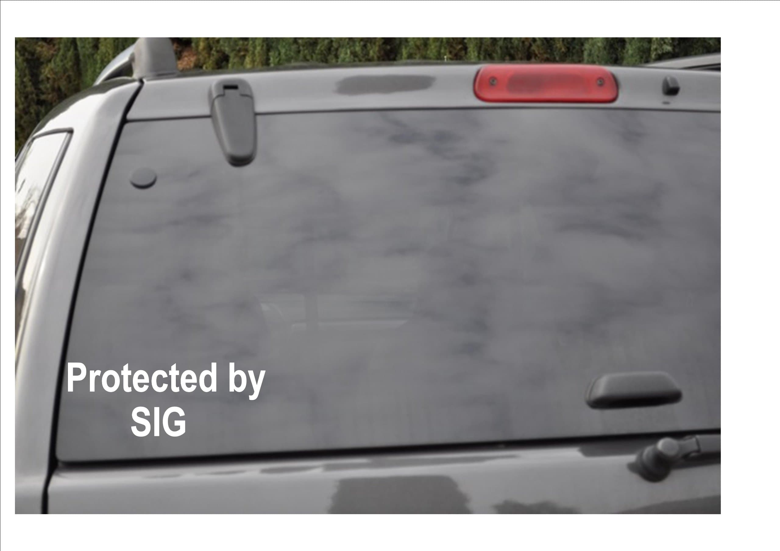 PROTECTED BY SIG -window decal