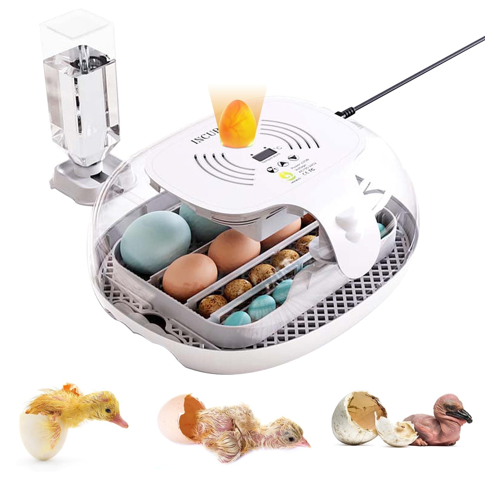 Egg Incubators for Hatching Eggs, Automatic Egg Incubator with Automatic Turner and Temperature Control,Poultry, Pigeon & Game Bird Egg Incubators for 16-25 Eggs
