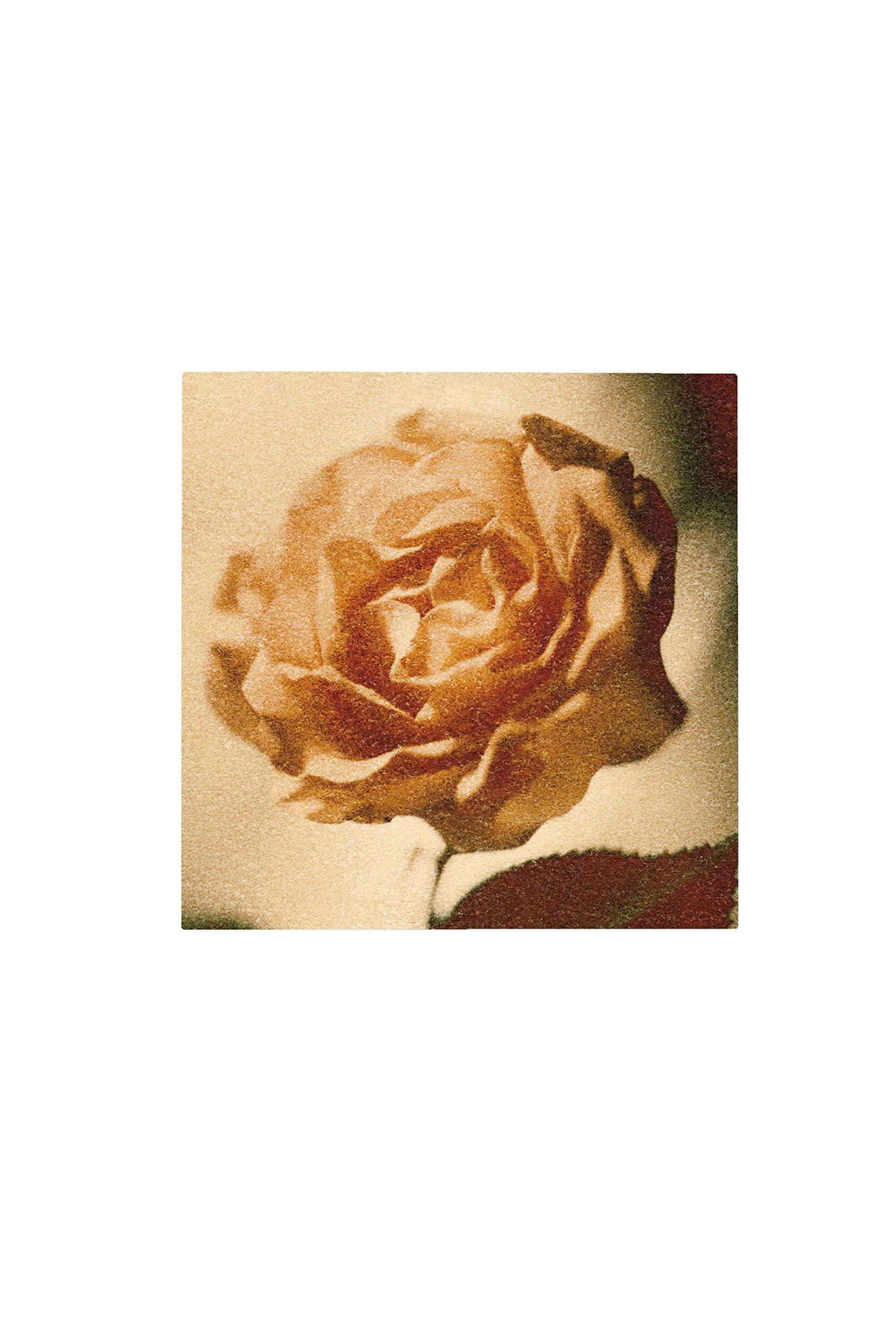 Command Décor Damage-Free Wall Tile Kit, Rose