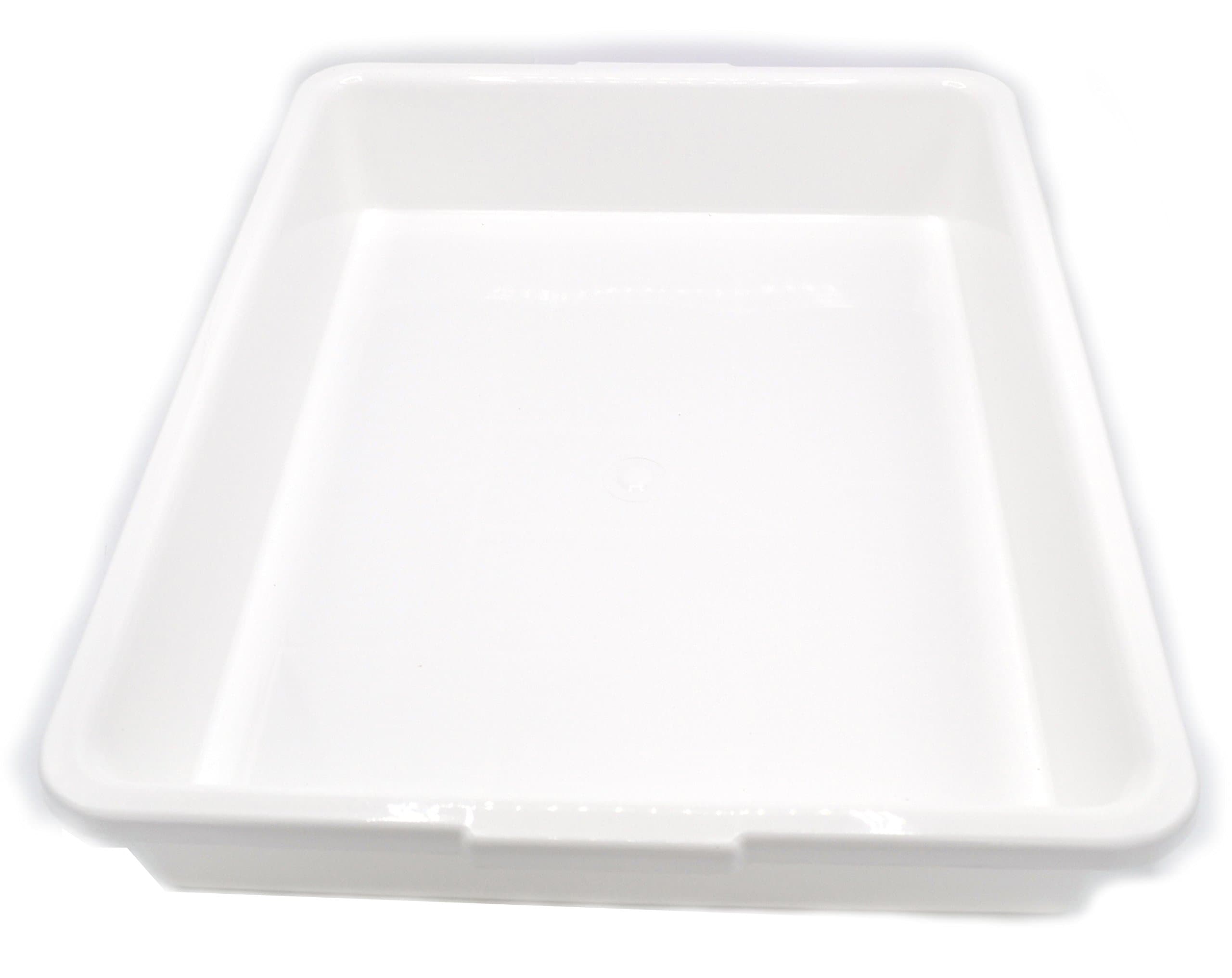 EISCO Lab Tray - 17.5" x 13.5" x 3" - Polypropylene Plastic