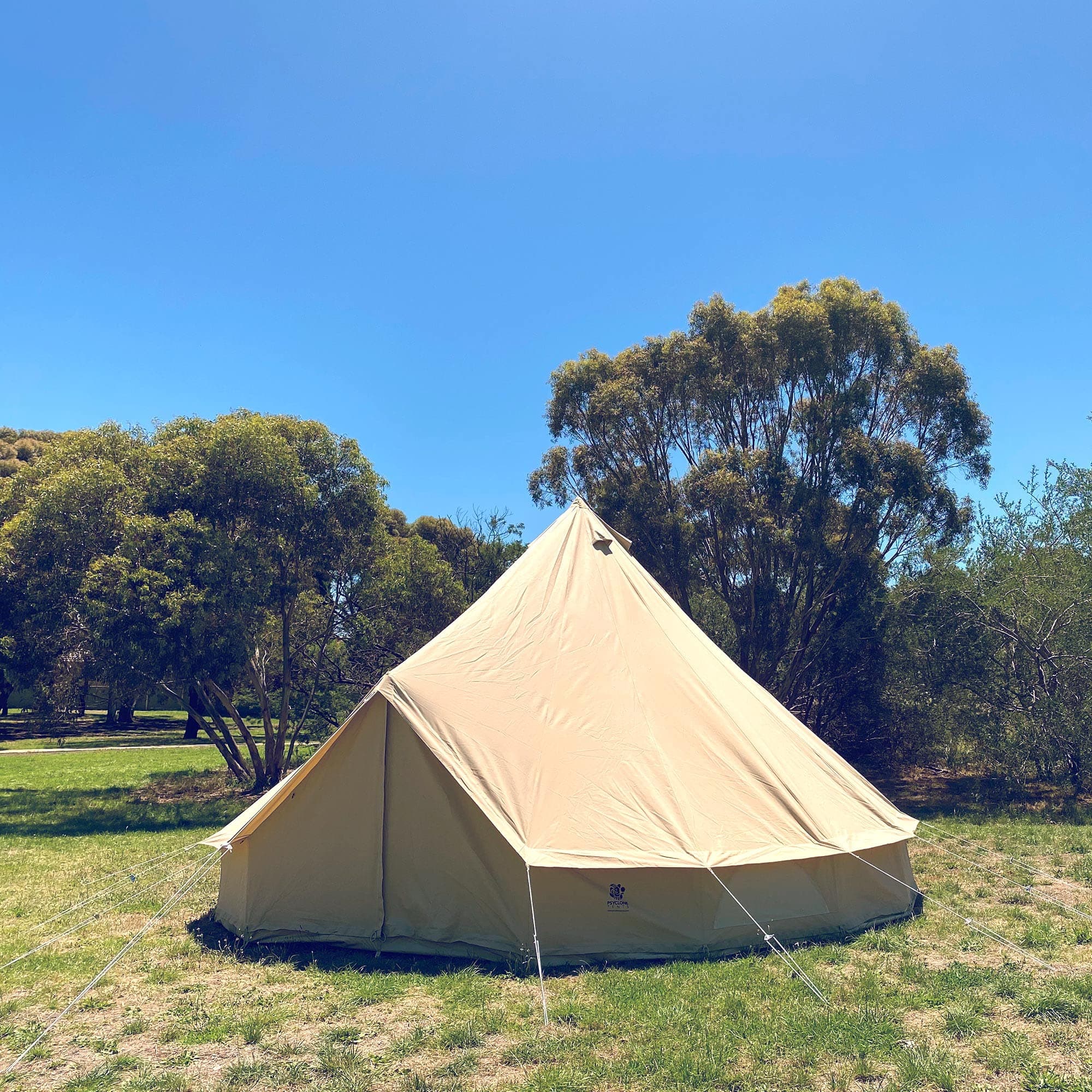 16' (5M) Fixed Floor with Extra Windows