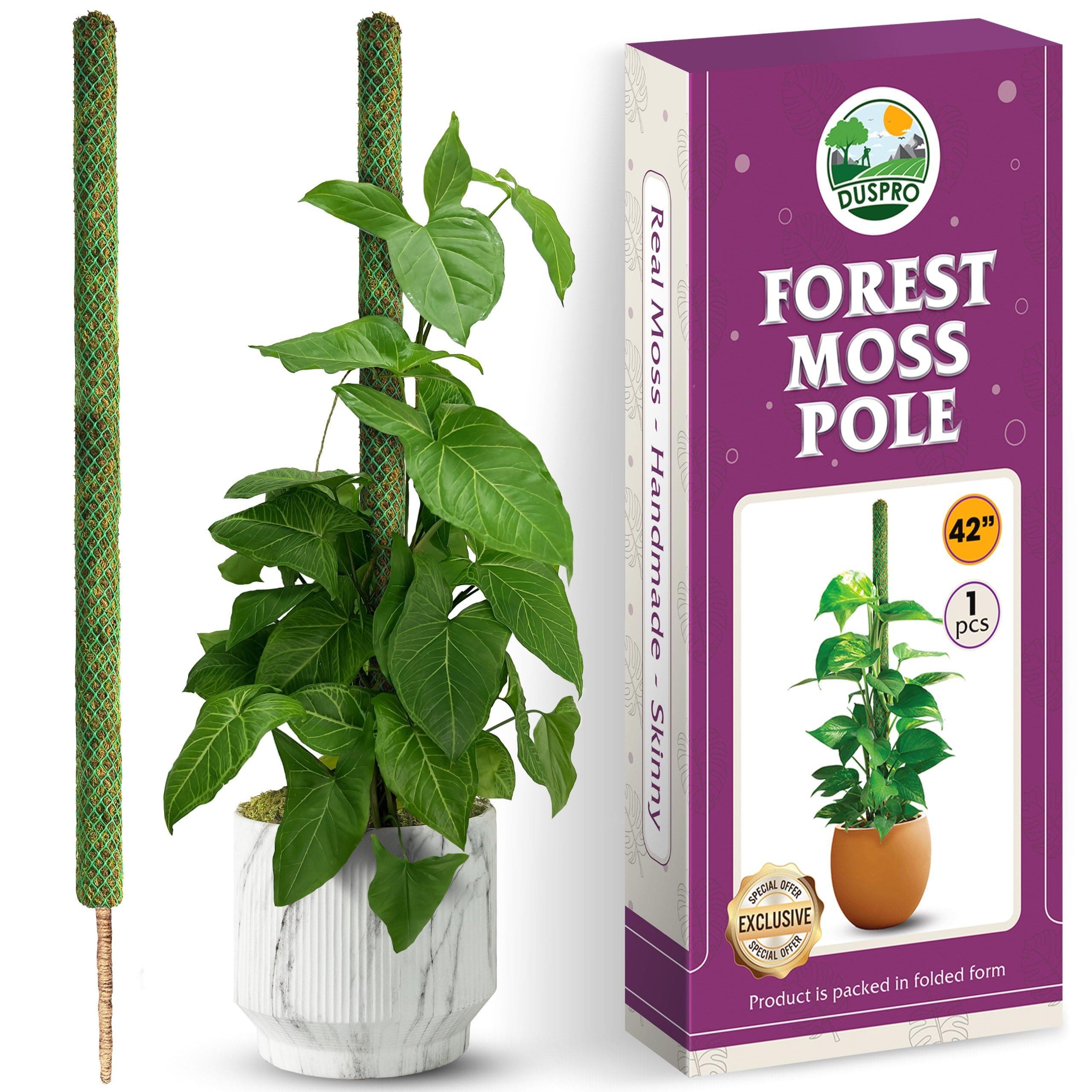 DUSPRO 42 Inch Forest Moss Pole, Bendable Moss Pole for Monstera, Tall Plant Pole, Sphagnum Moss Sticks for Cheese Plant, Handmade Plant Supports for Indoor Plants to Grow Upwards (Large Size 105cm)